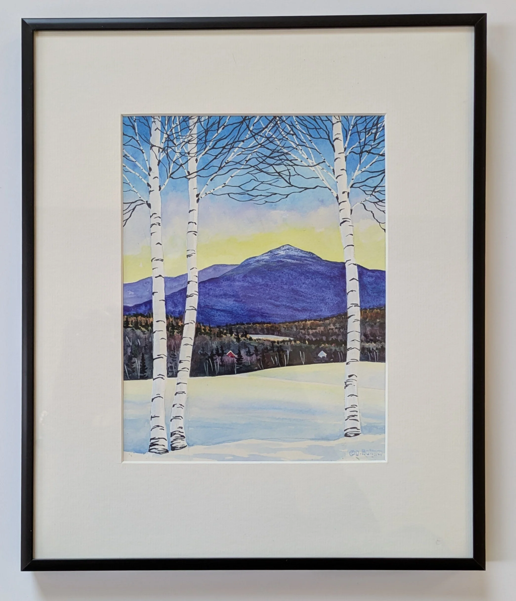 Winter Birch, Mt. Abe