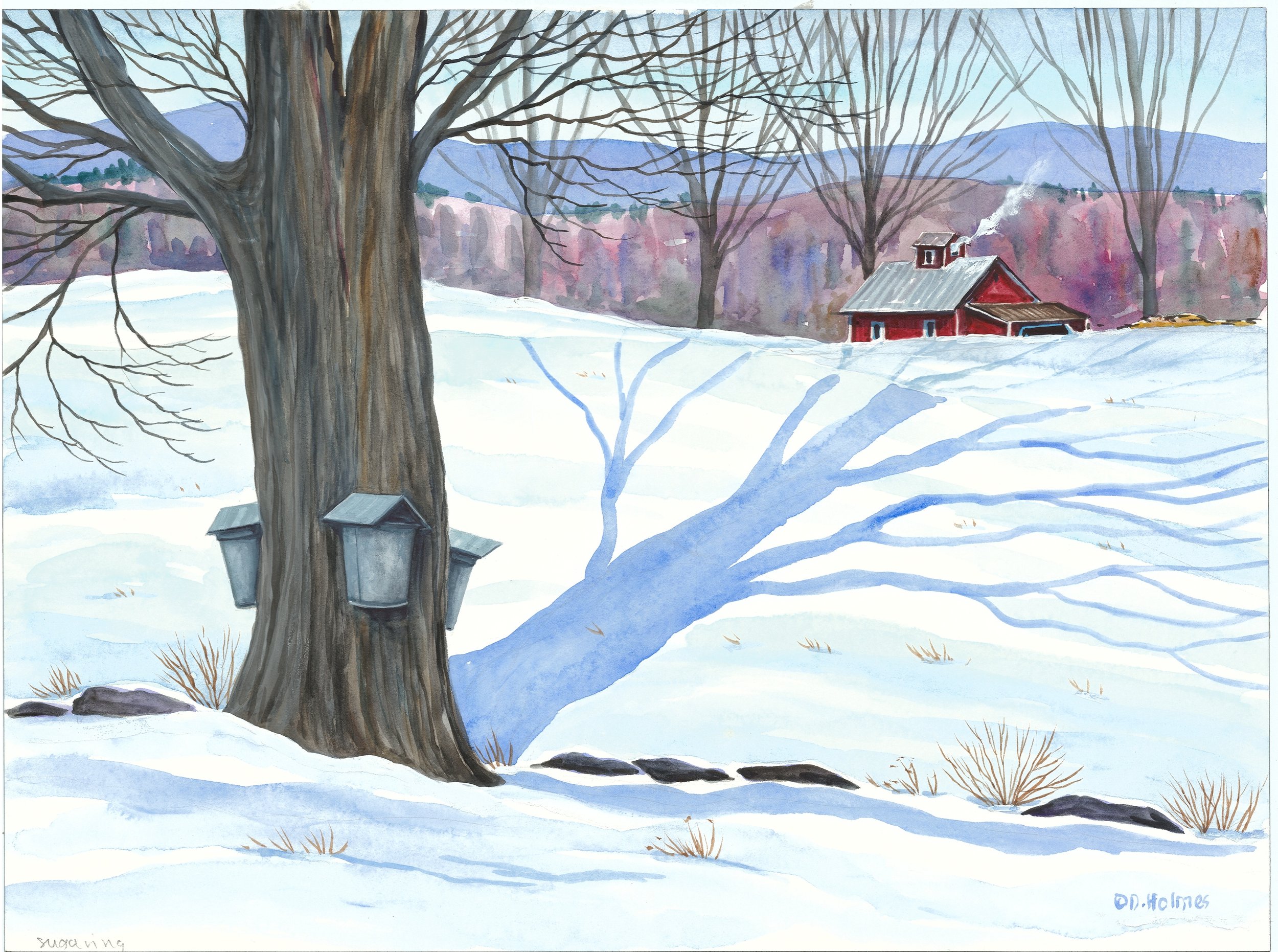 Sugaring in March