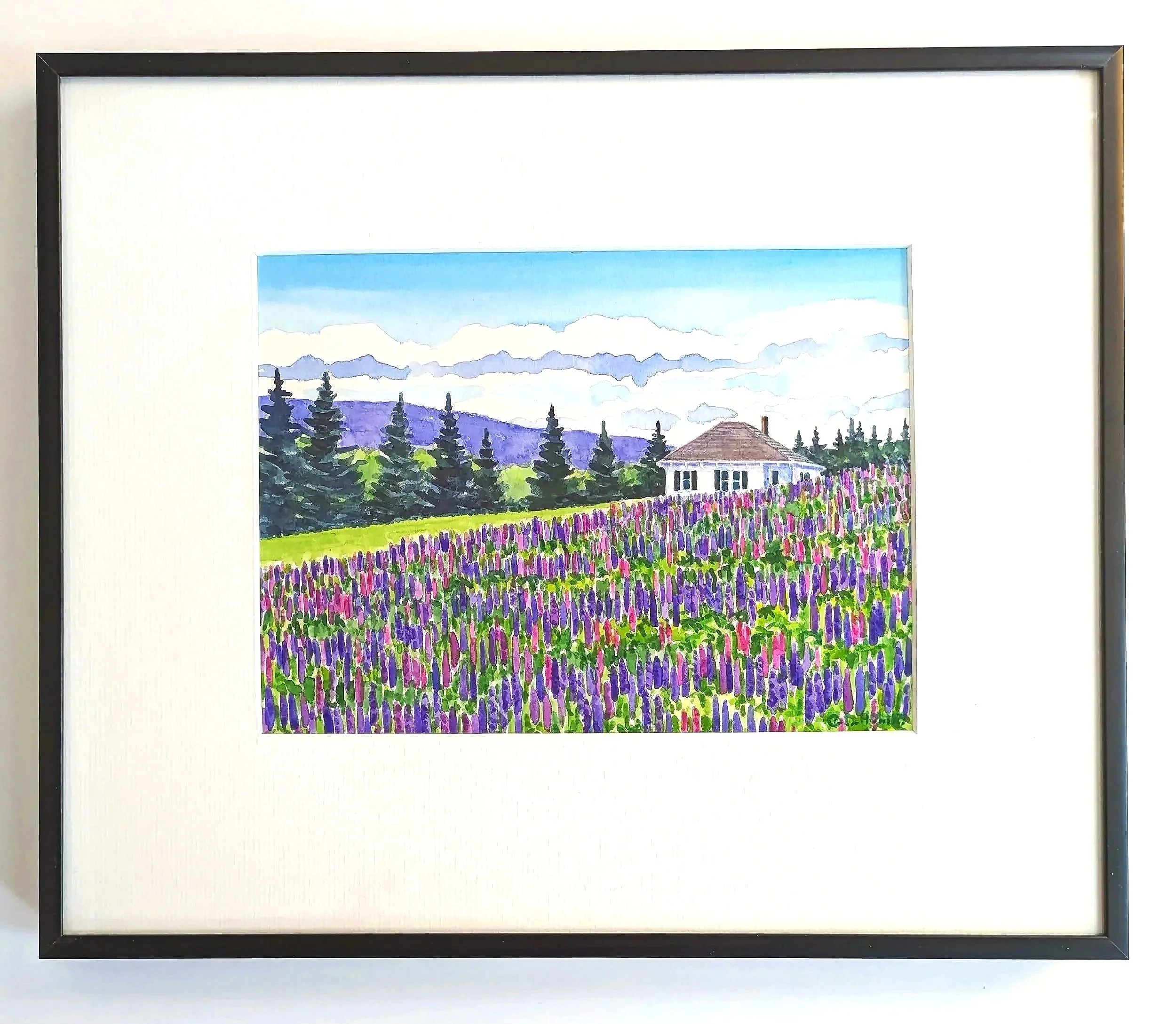 Lupines%252BFramed.jpg