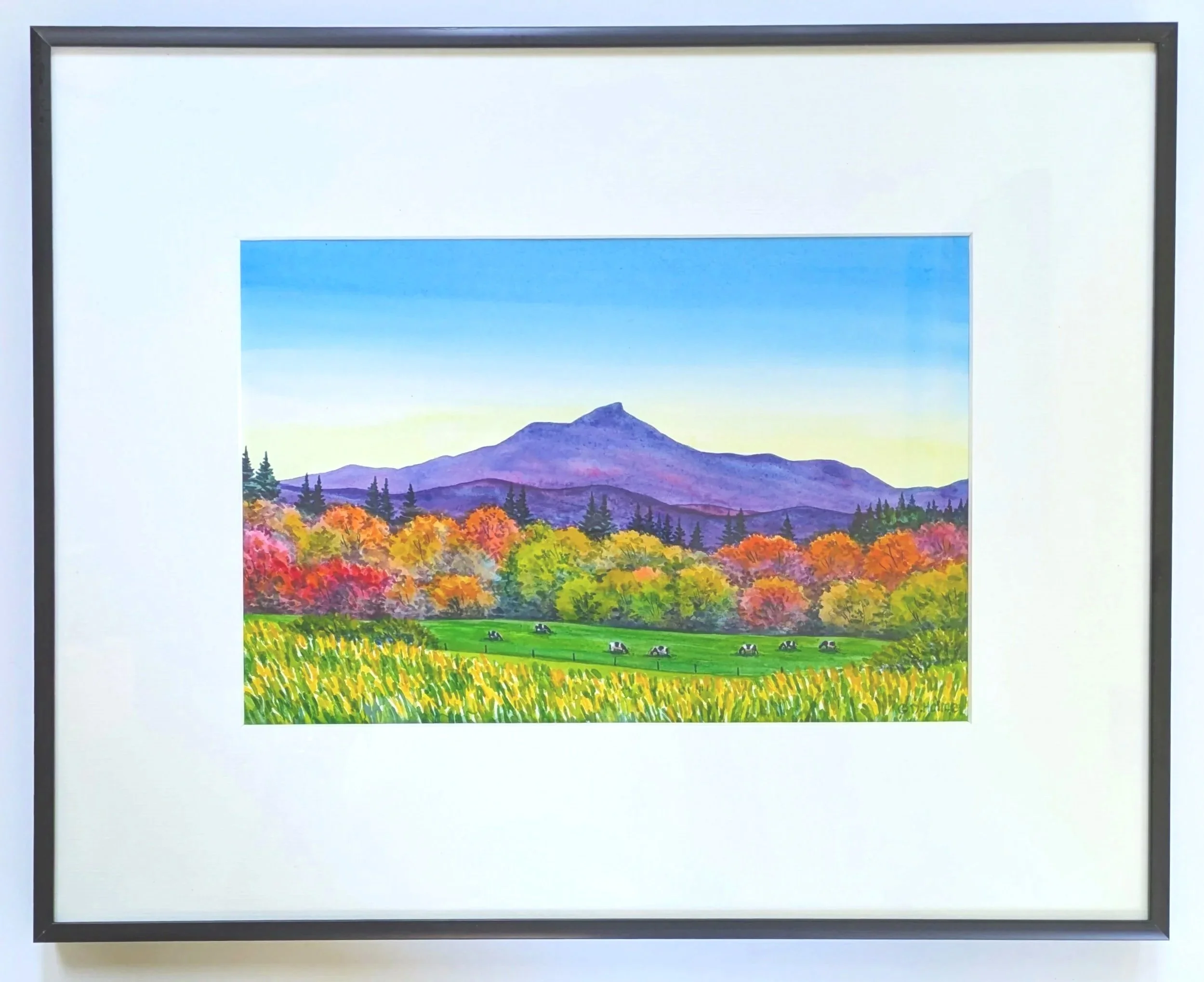 Camels Hump, Autumn Colors