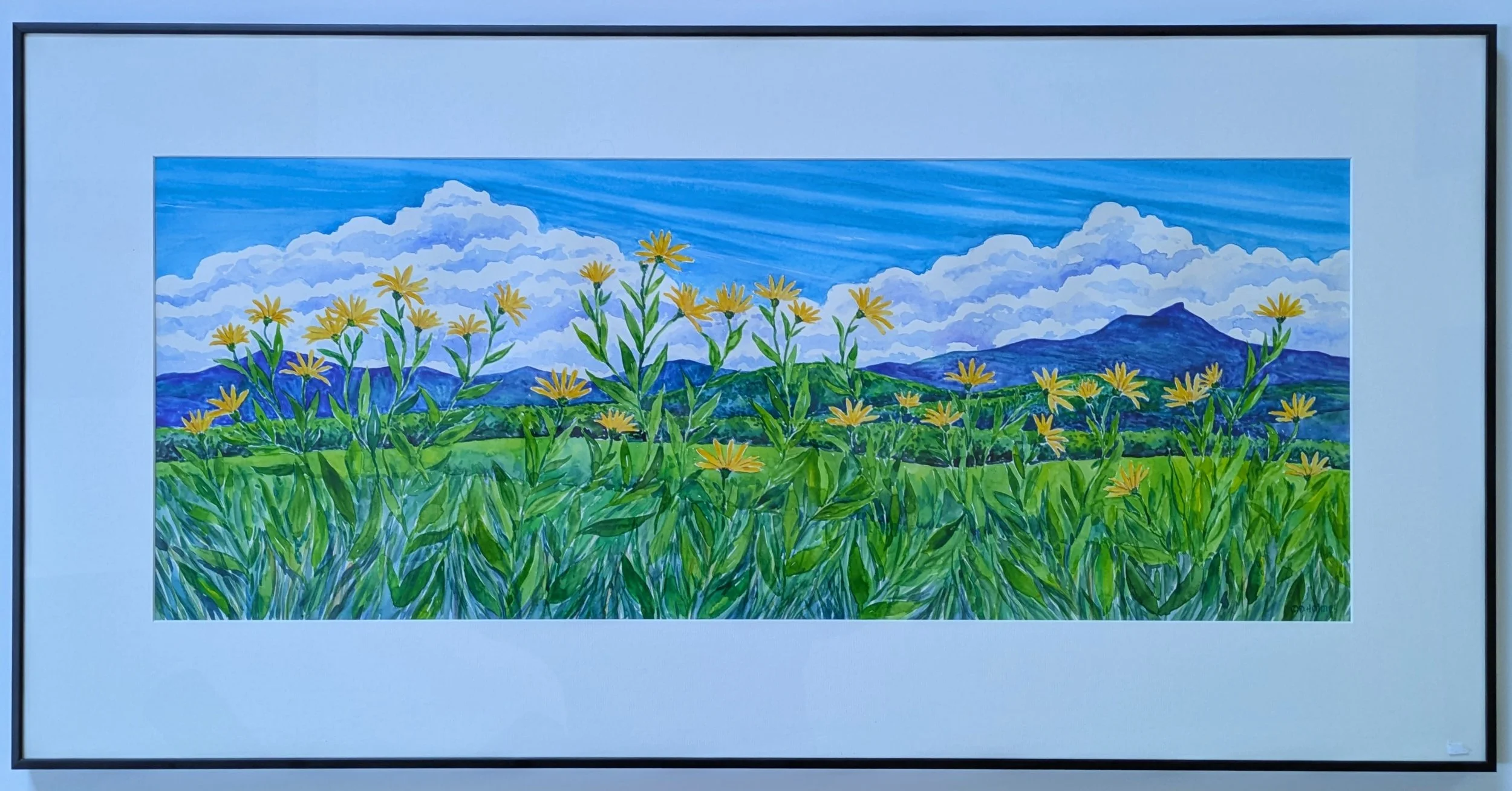 Camels Hump and Yellow Flowers