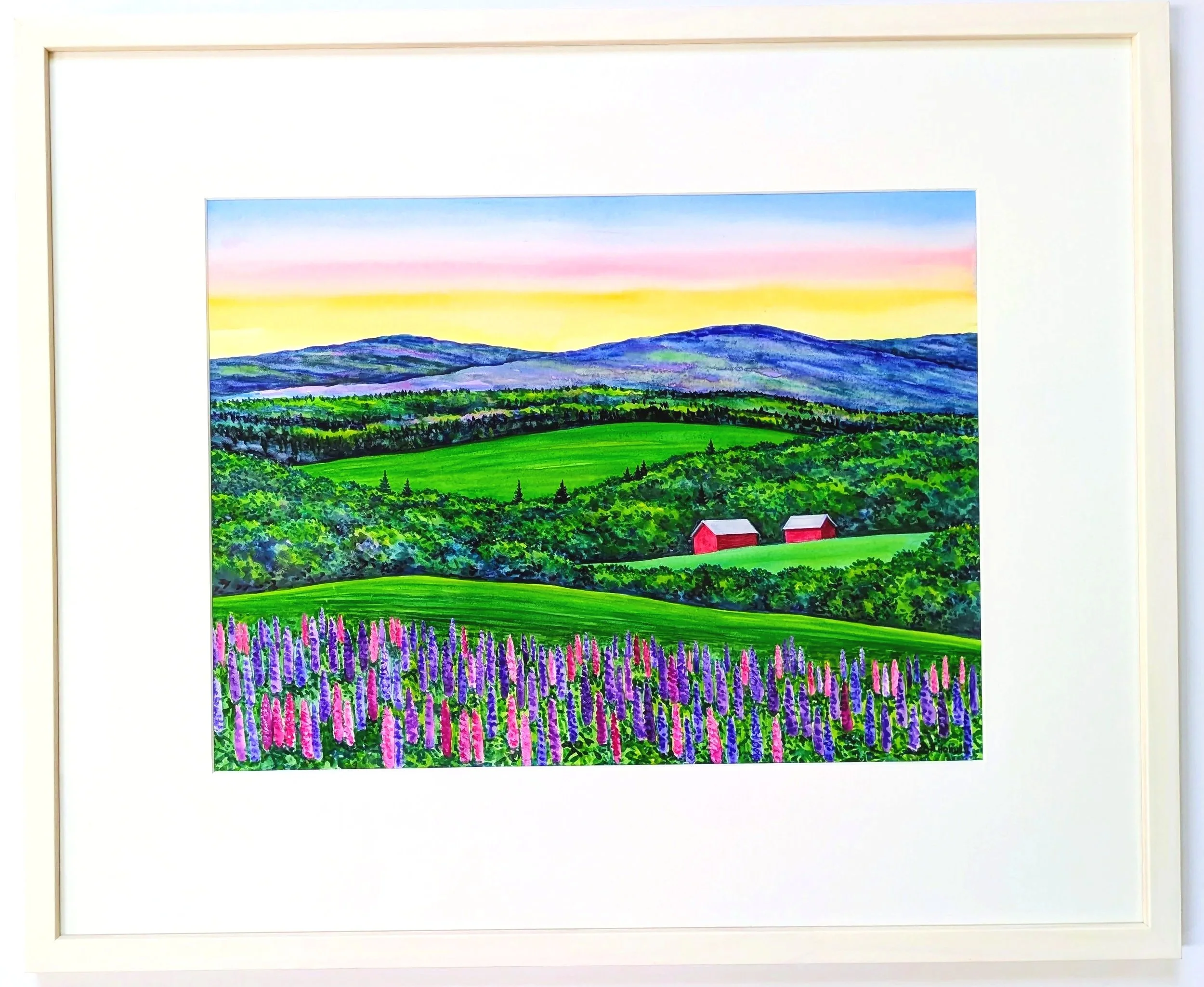 Twilight+Lupines.jpg