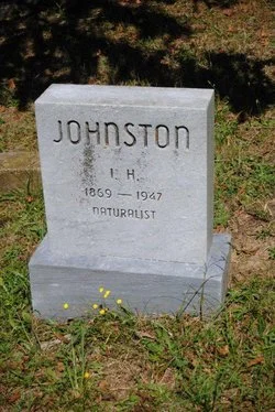 I.H Johnston.jpg