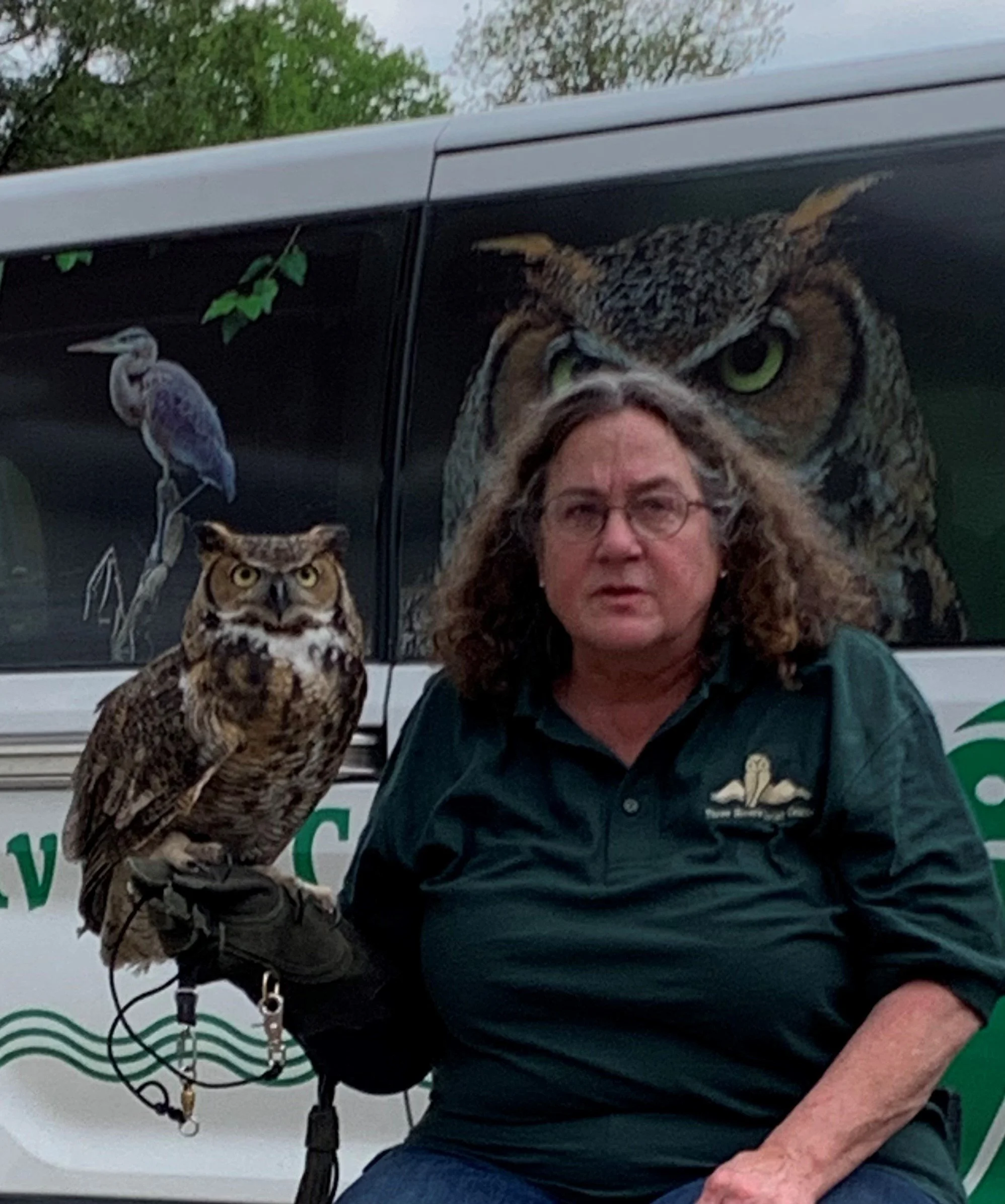 Great Horned Owl.jpg