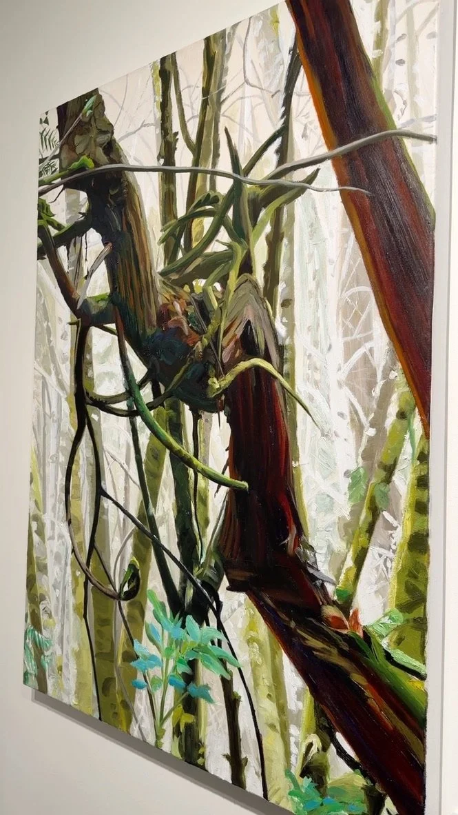 Michelle May Juniper Rag Copley Society6A28AD85-9C57-44E5-8AFF-054743EDD6F6_1_105_c.jpeg