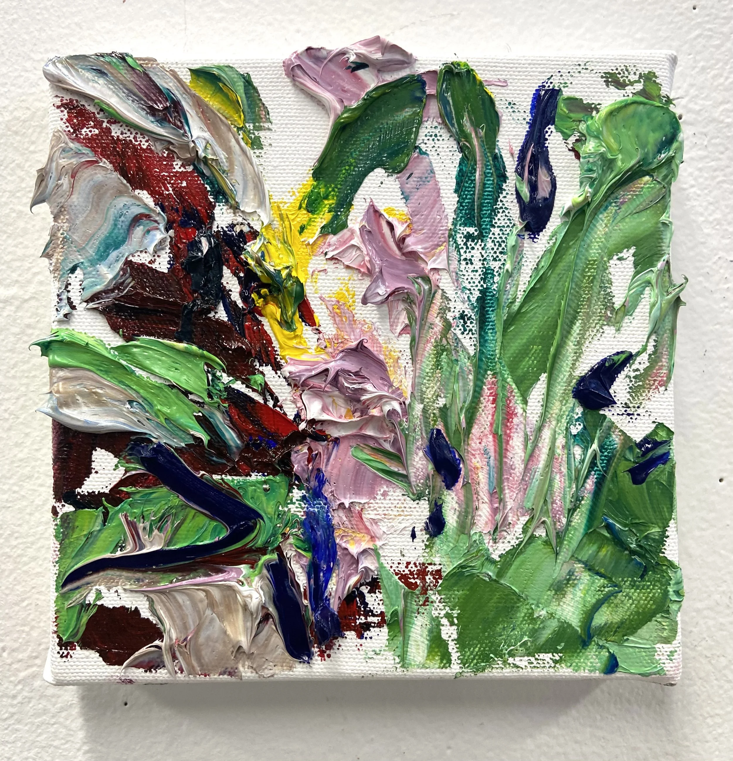 Clare Asch | Marlborough, MA