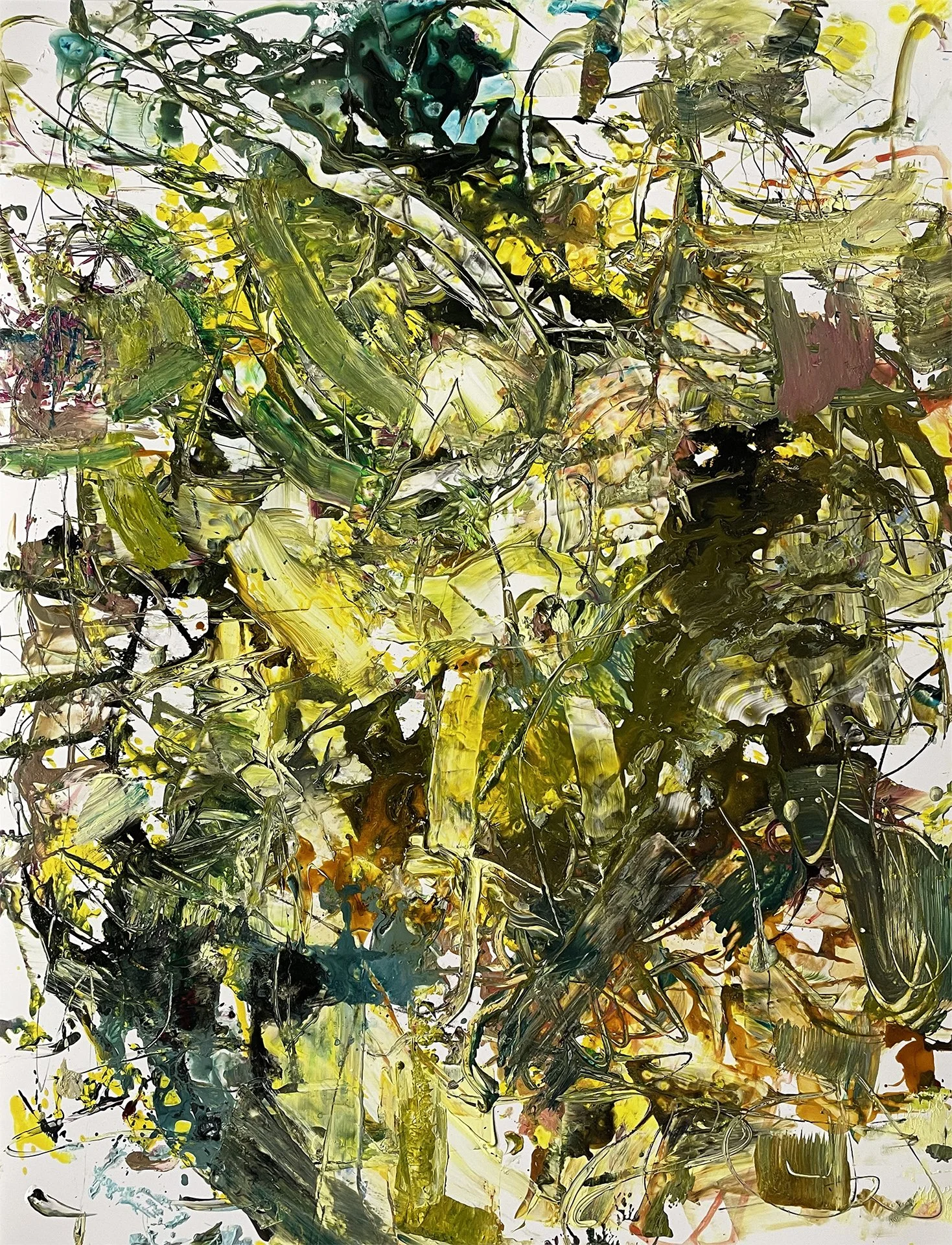 Seagrass Meadow