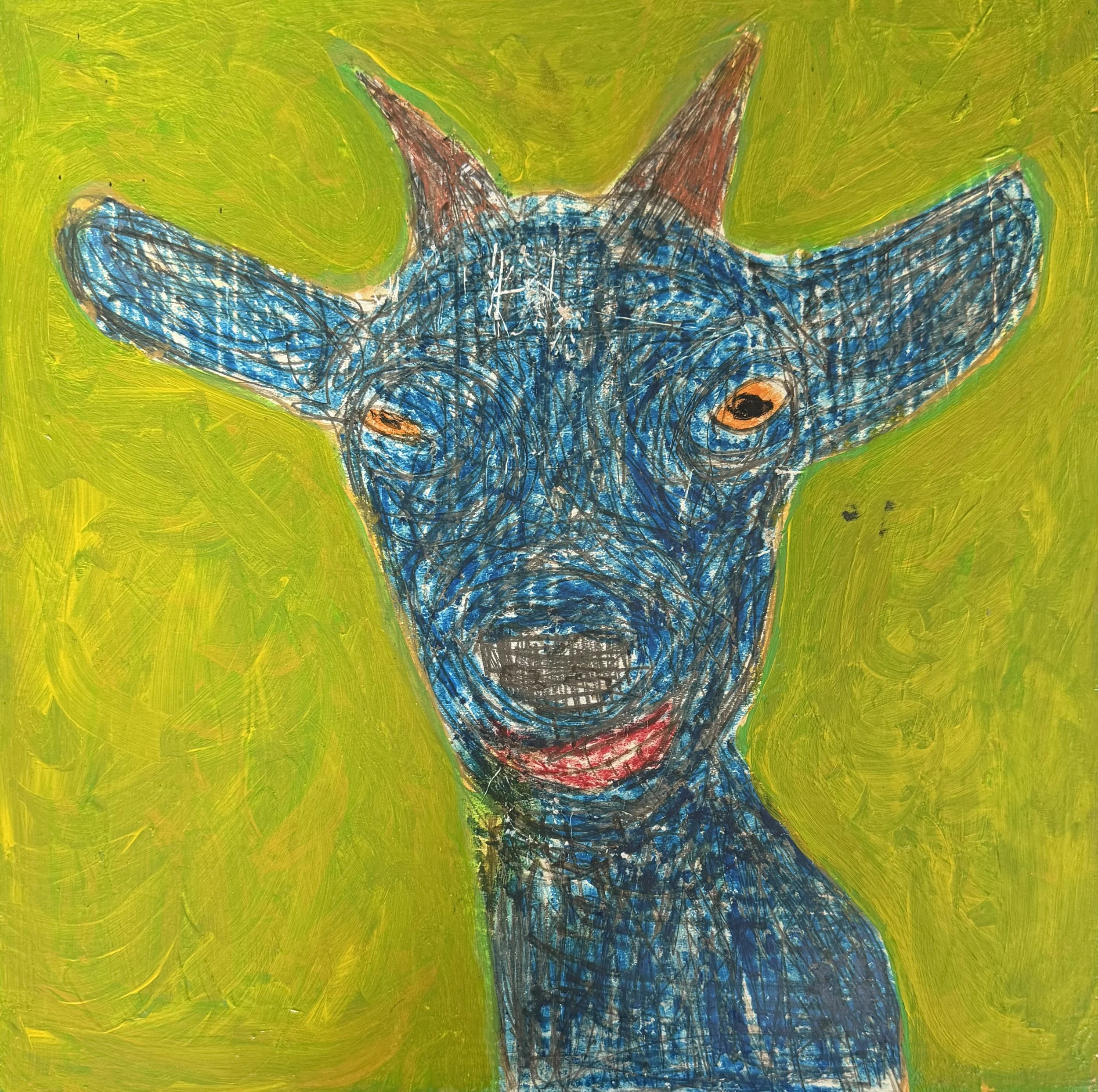 Two Sides To Every Story, Goat #61