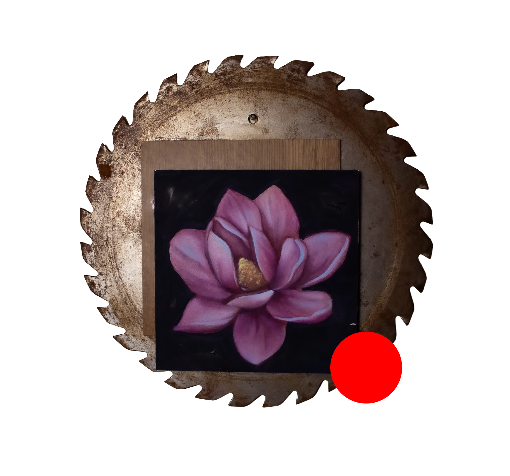 sold_Tortorelli_DelicateEdge.png
