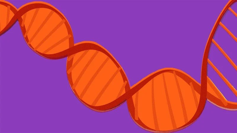 Building a Curriculum on Genes