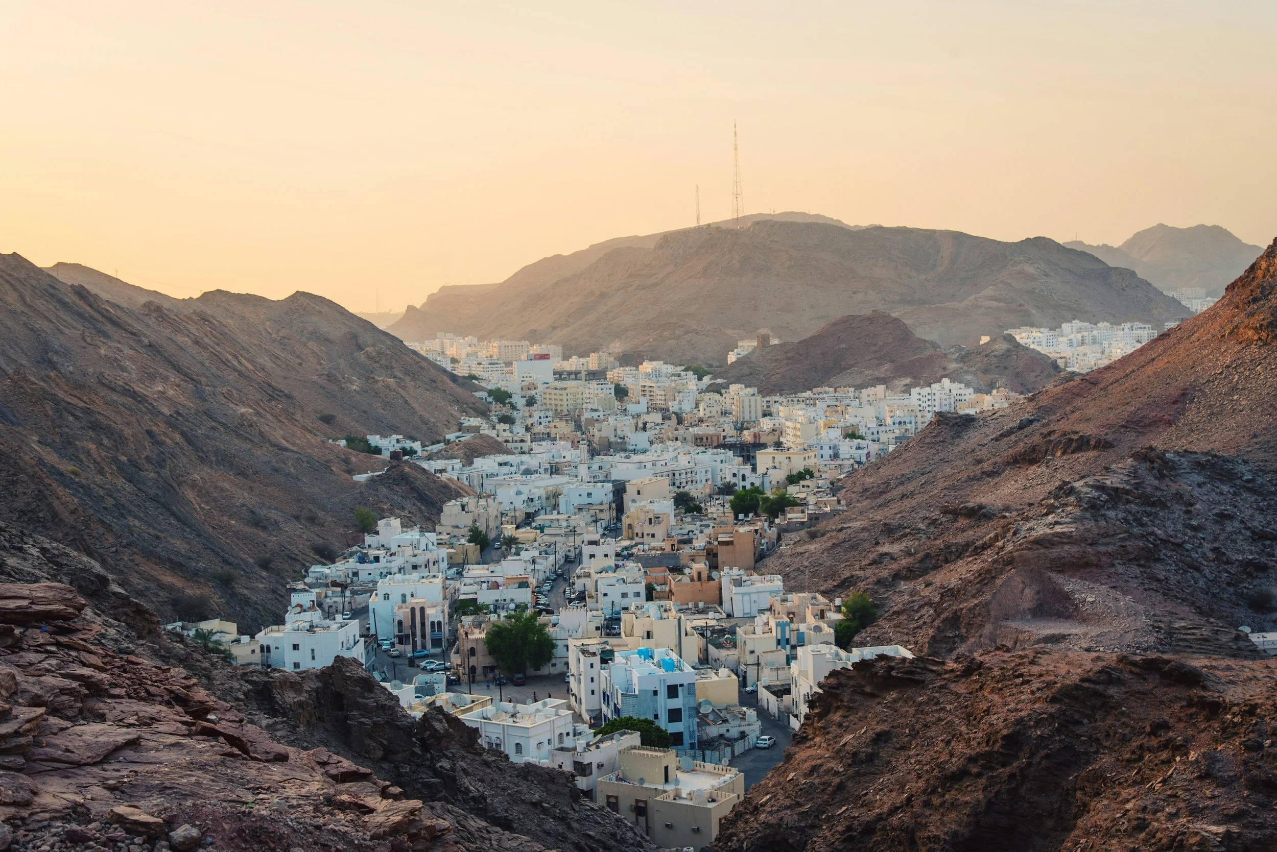 The Cognitive Achievements of the Omanis