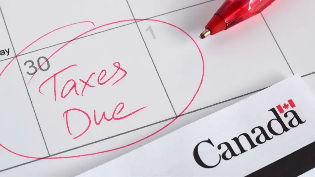Individual - Tax Debt Information