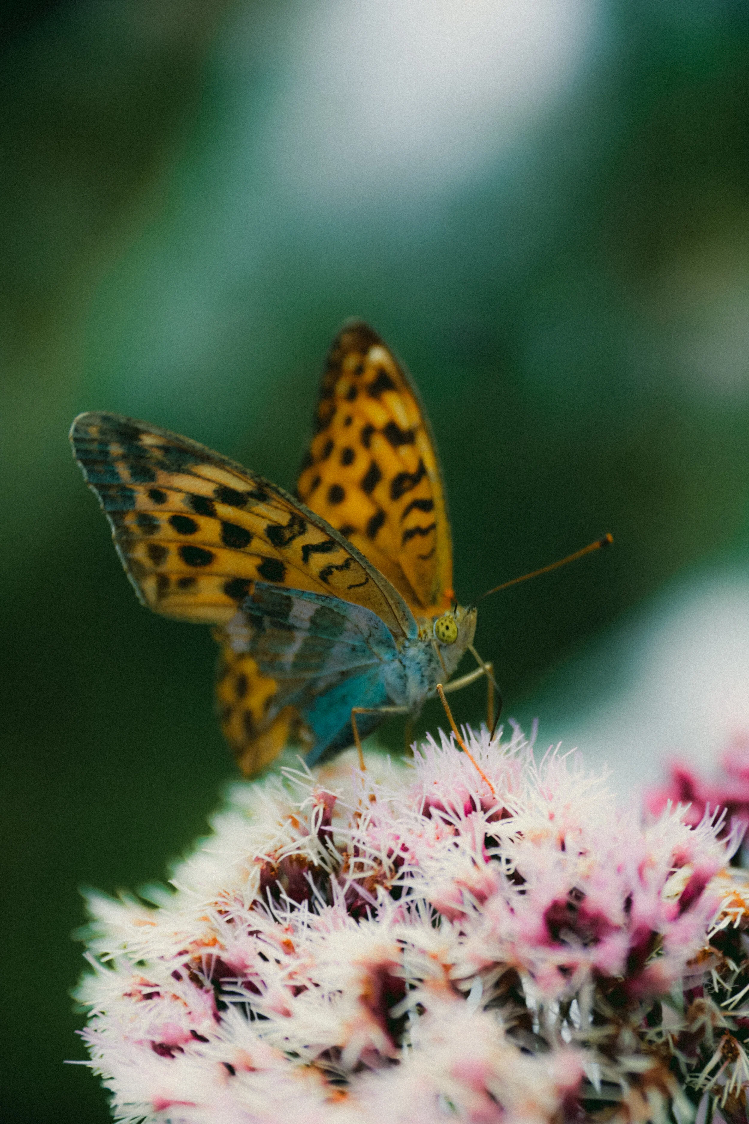 20190818190928_IMG_1201 (1).jpg