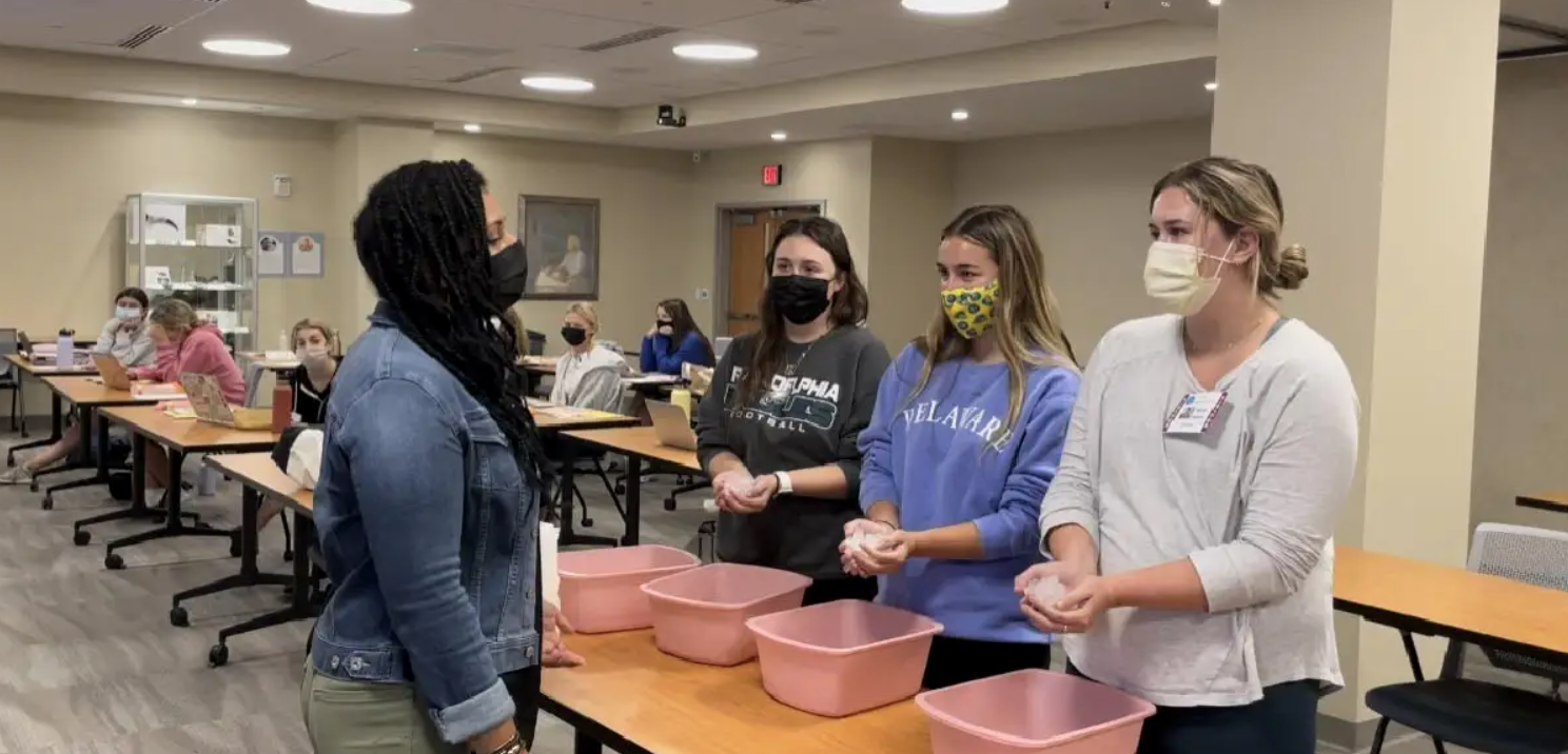 What is a Birth Companion?