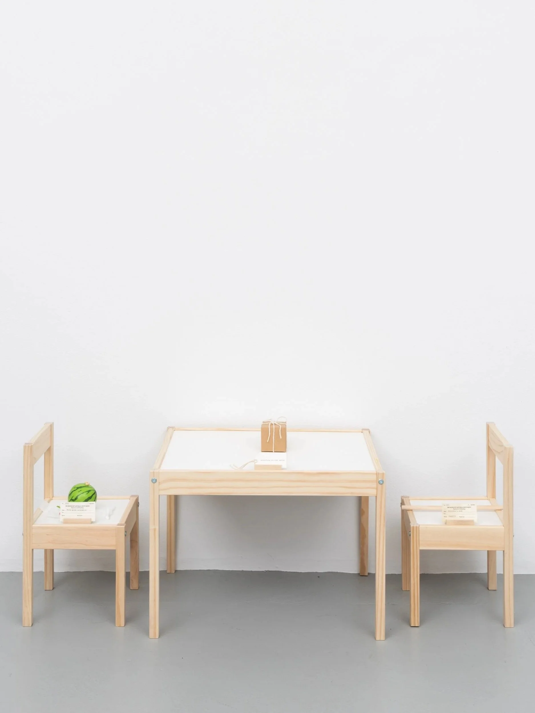 The Specimen, 2026
Specimen, IKEA LÄTT, wood, paper
Dimensions variable.