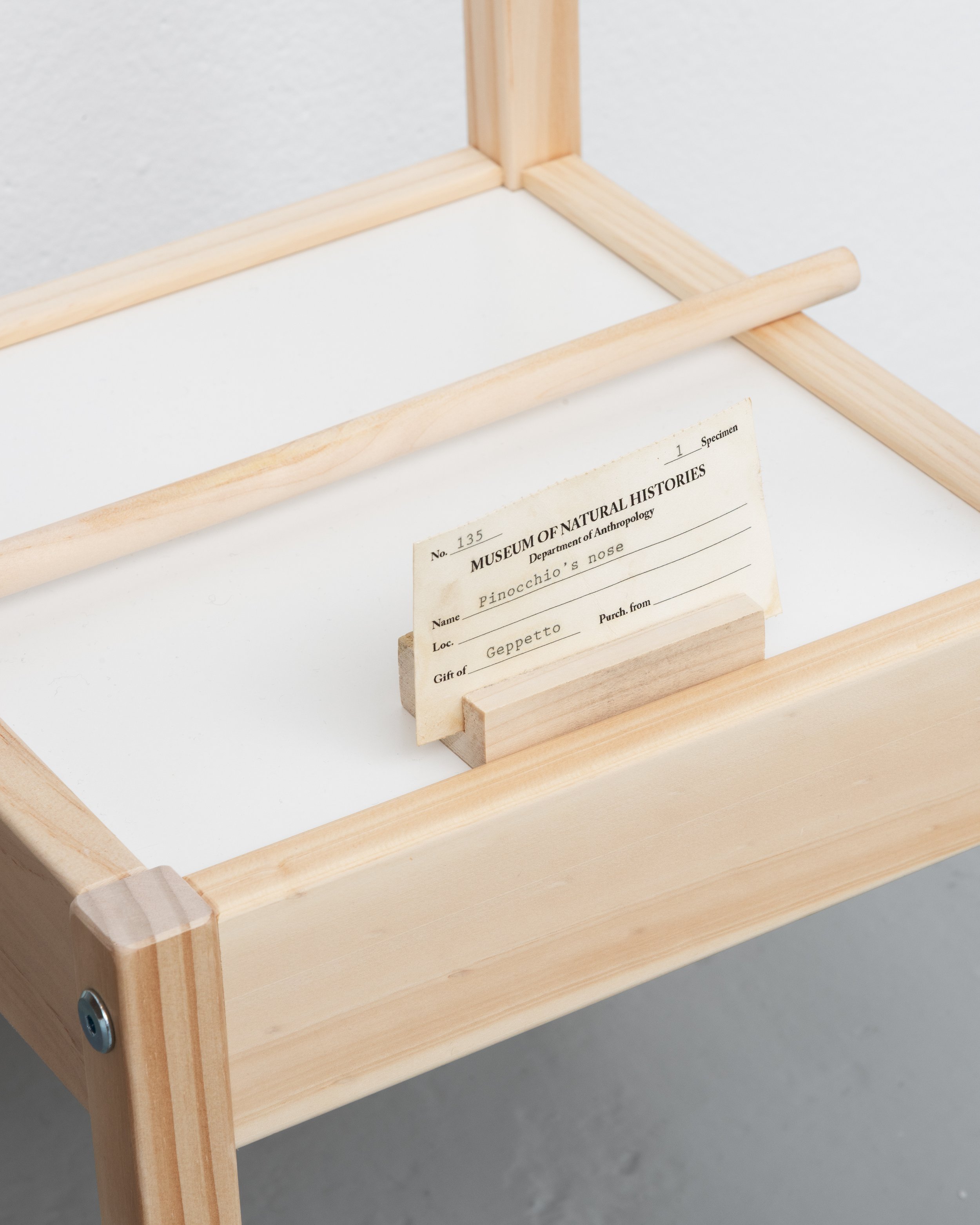 The Specimen (detail), 2026
Specimen, IKEA LÄTT, wood, paper
Dimensions variable.