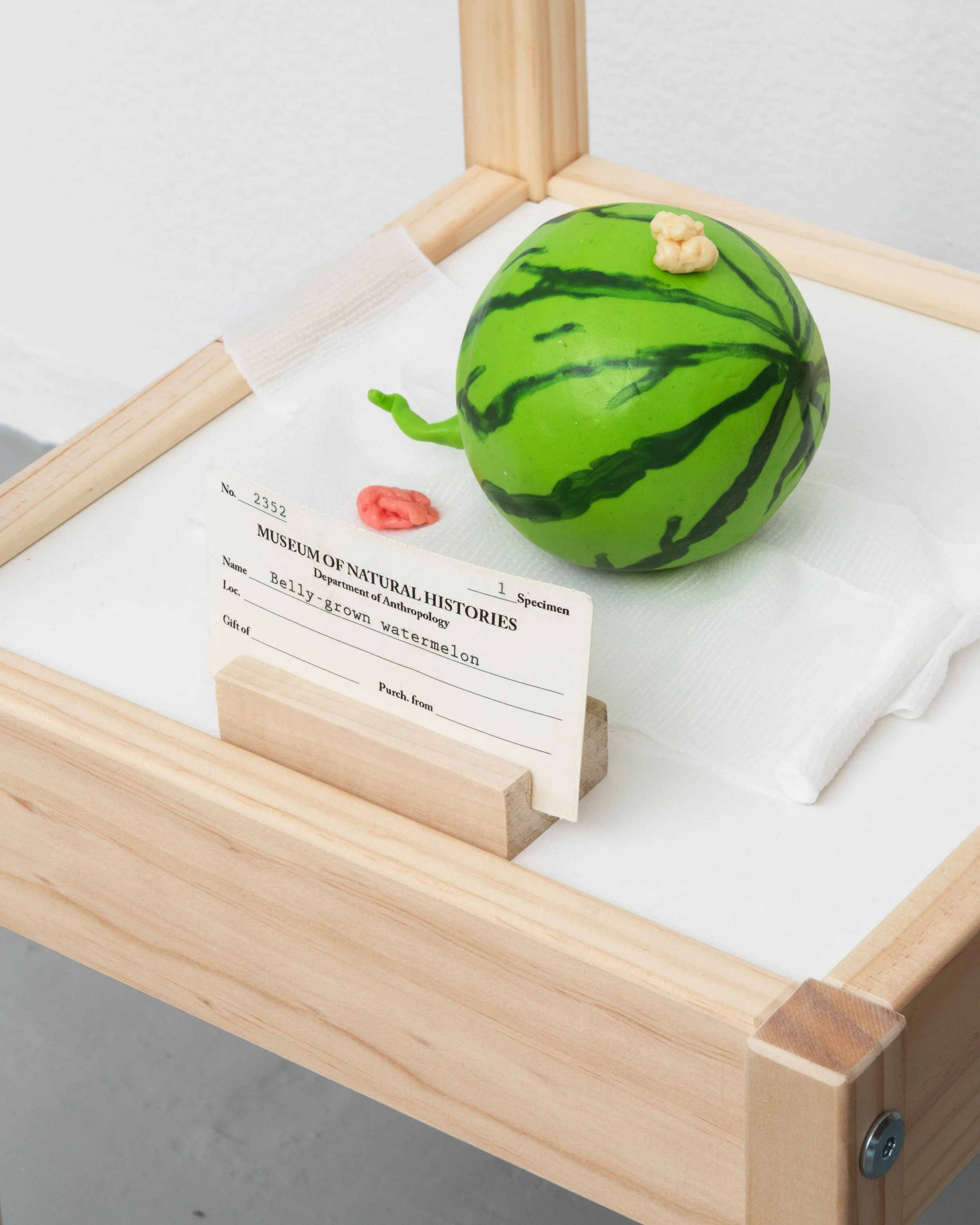 The Specimen (detail), 2026
Specimen, IKEA LÄTT, wood, paper
Dimensions variable.