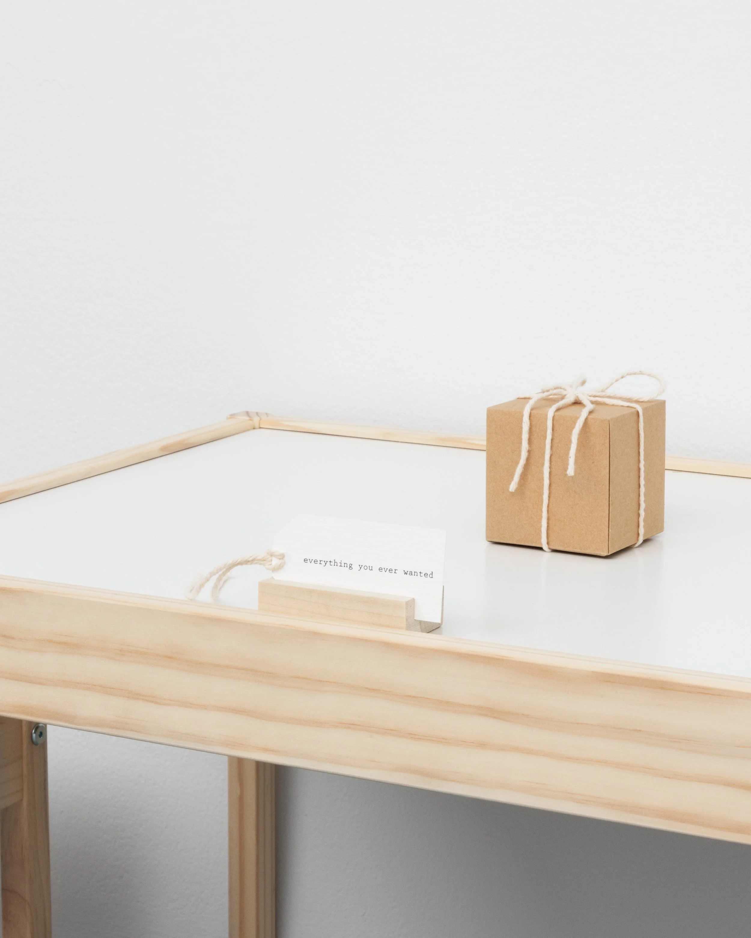 The Specimen (detail), 2026
Specimen, IKEA LÄTT, wood, paper
Dimensions variable.