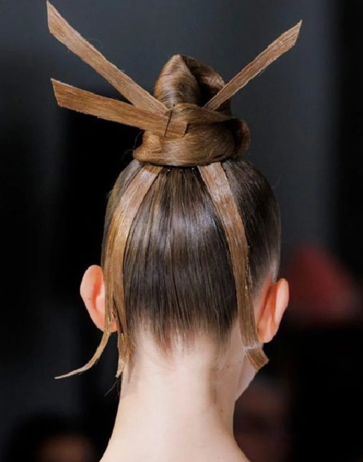 Don&rsquo;t you know I&rsquo;m #obsessed with #hairaccessories ! Love these from the recent #couture2026 shows in Paris. Photos from @wwd 🌹🌹🌹🌹🌹🌹🌹🌹🌹🌹