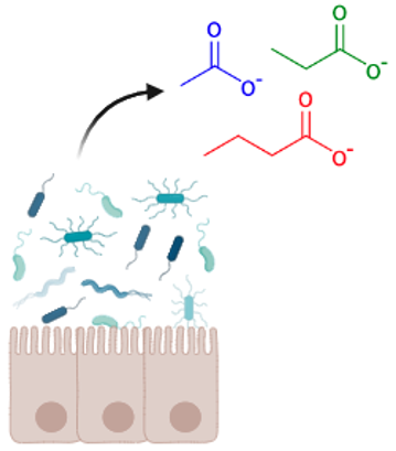 Short-chain fatty acids