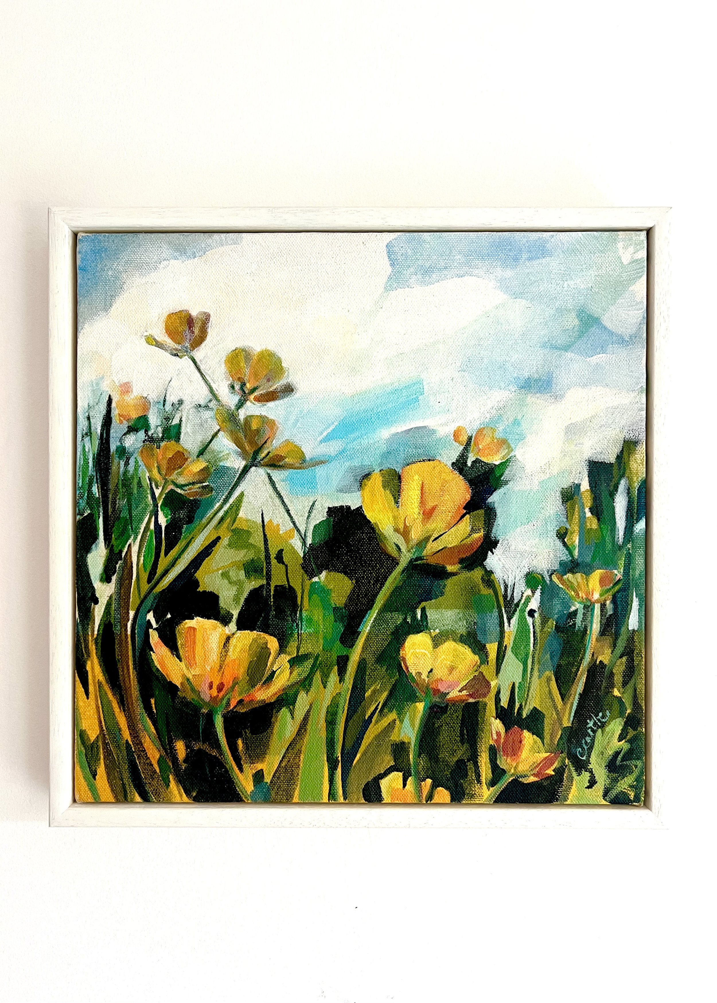 Buttercups 13.05