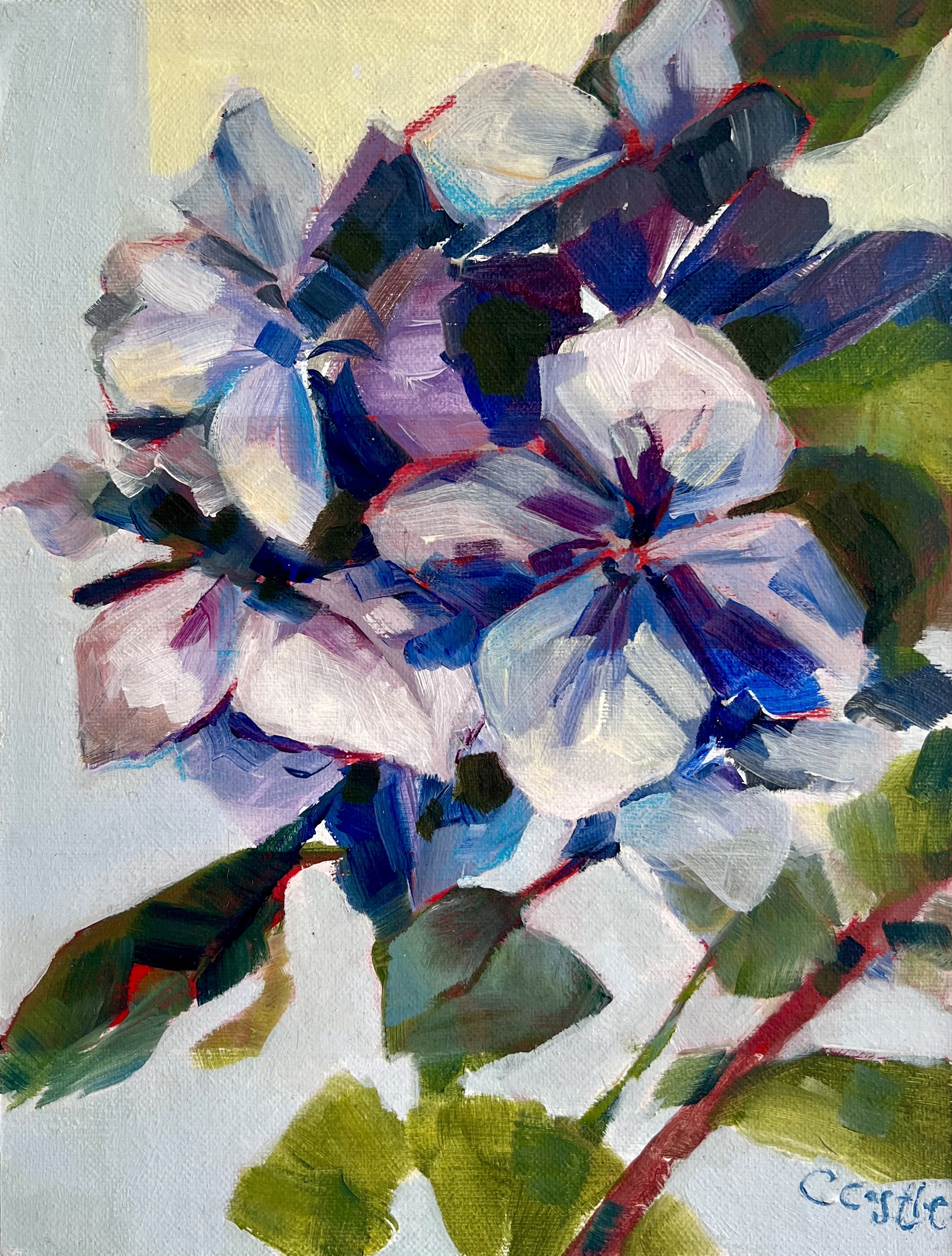 Hydrangea petals