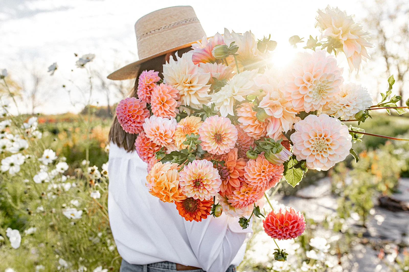 Wholesale Flowers in New York Flower Farm & Florist Flowerwell