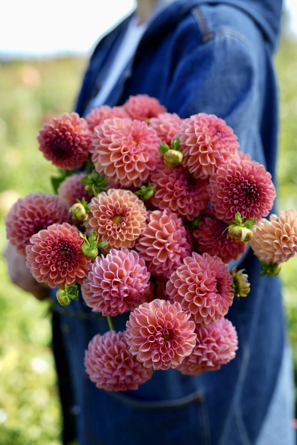 199E8243-4707-4D23-9948-