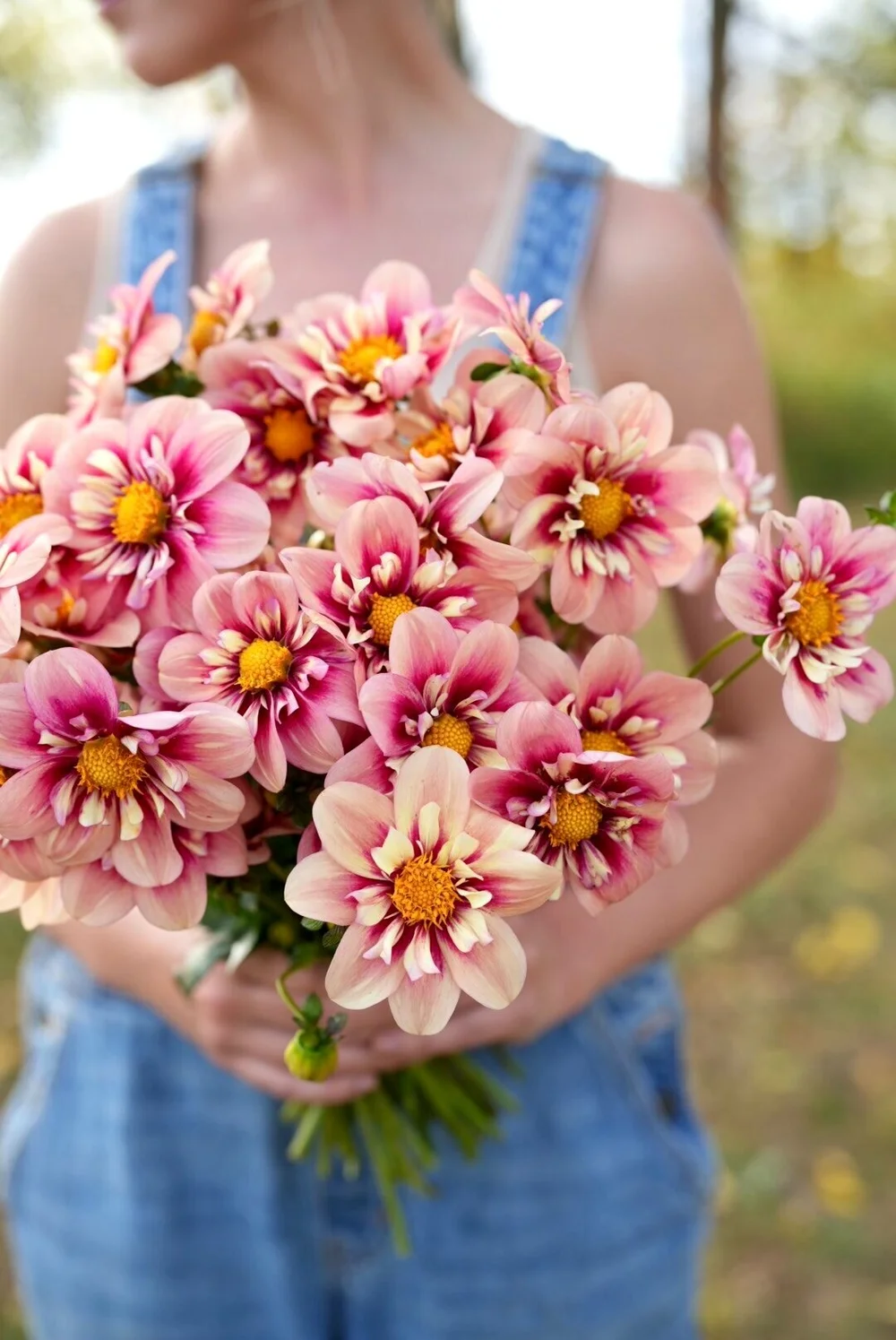 Flowerwell Flower Farm | Dahlia Tuber Shop | Dahlia Rhubarb and  