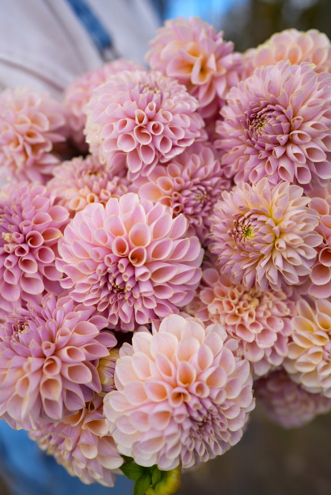 3E738C57-168F-475C-AE1F-A3FCC5FFE015.jpeg