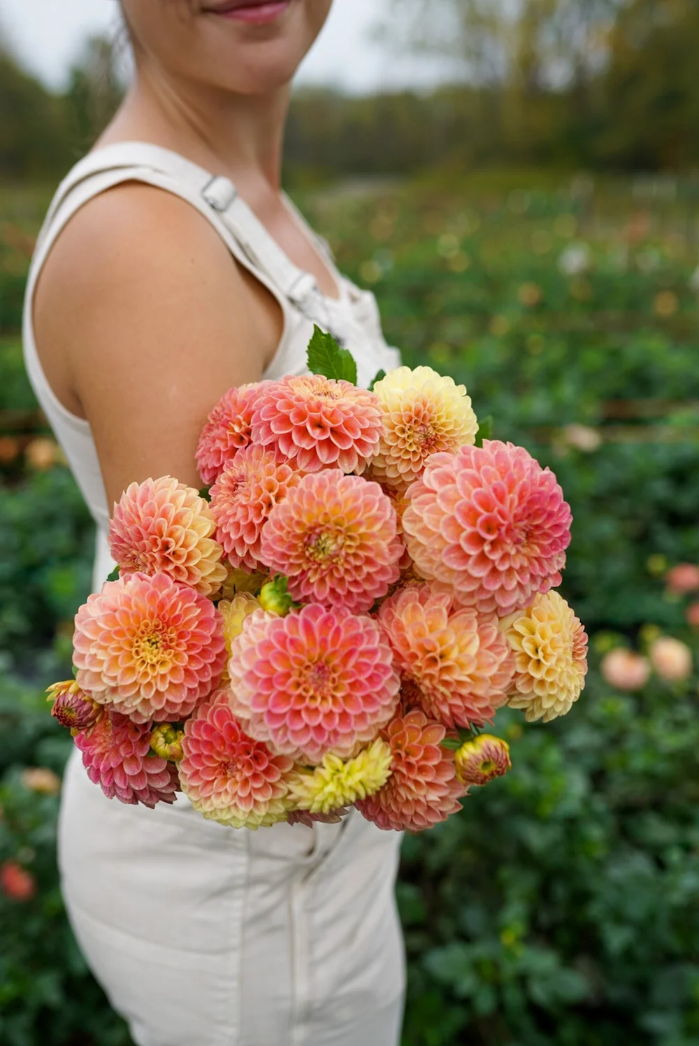 Flowerwell Dahlia Store | Bulk Crichton Honey — Flowerwell Farm