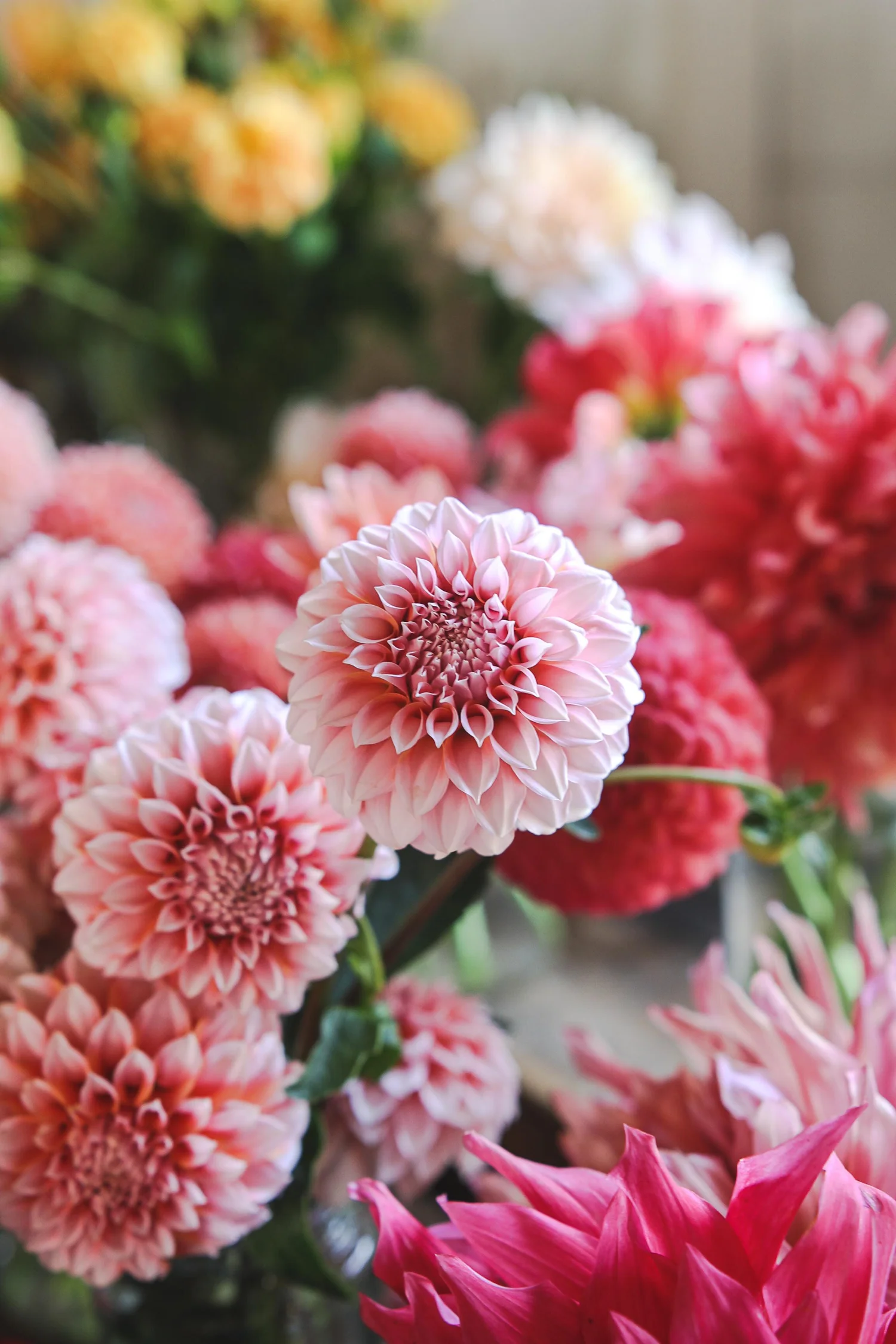 Fall Flowers In Season - Fall Wedding Flowers | Flowerwell | Flowerwell