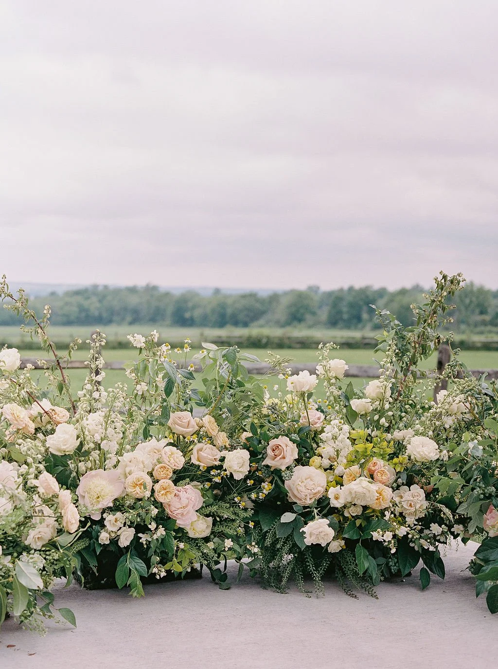 Ali-Reed-Photography-Alexandra-Elise-Photography-New-York-New-England-Cape-Cod-NYC-3.jpg