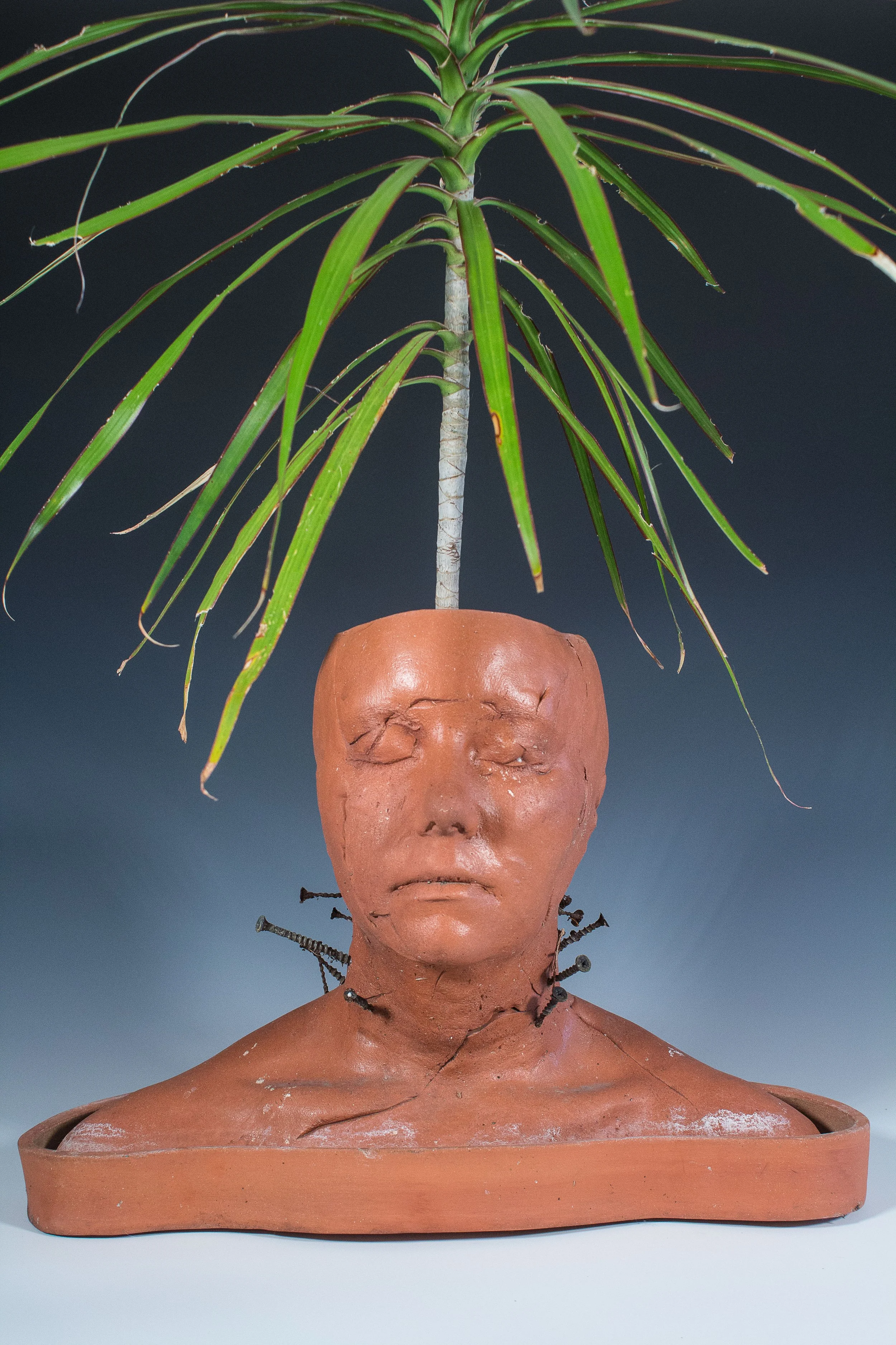 Anna Cowley Ford,
Neck Tension, 2019,
low-fire terra cotta and metal screws
$500