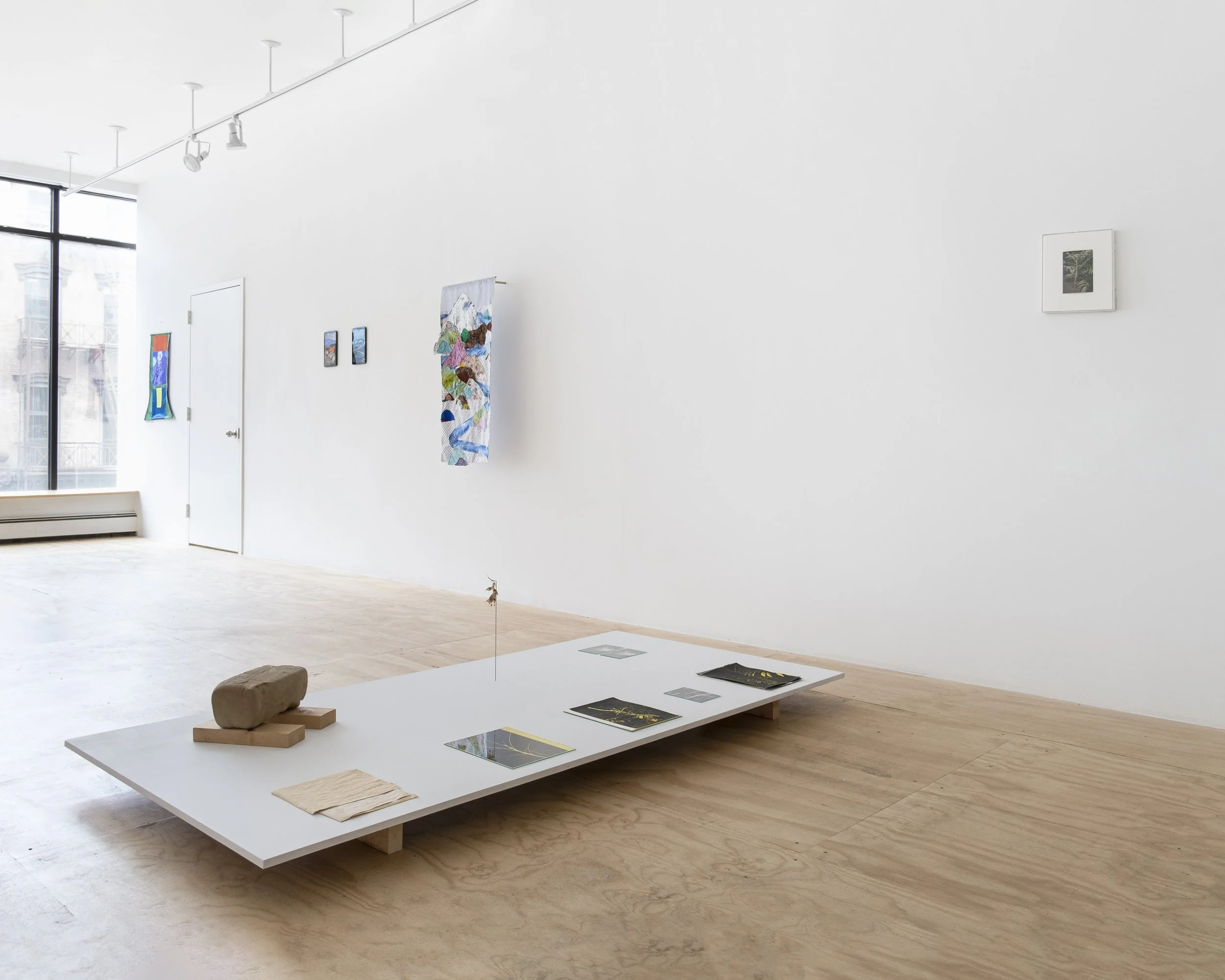 Installation view, 4.5 Billion Years, Brief Histories, 2023. 