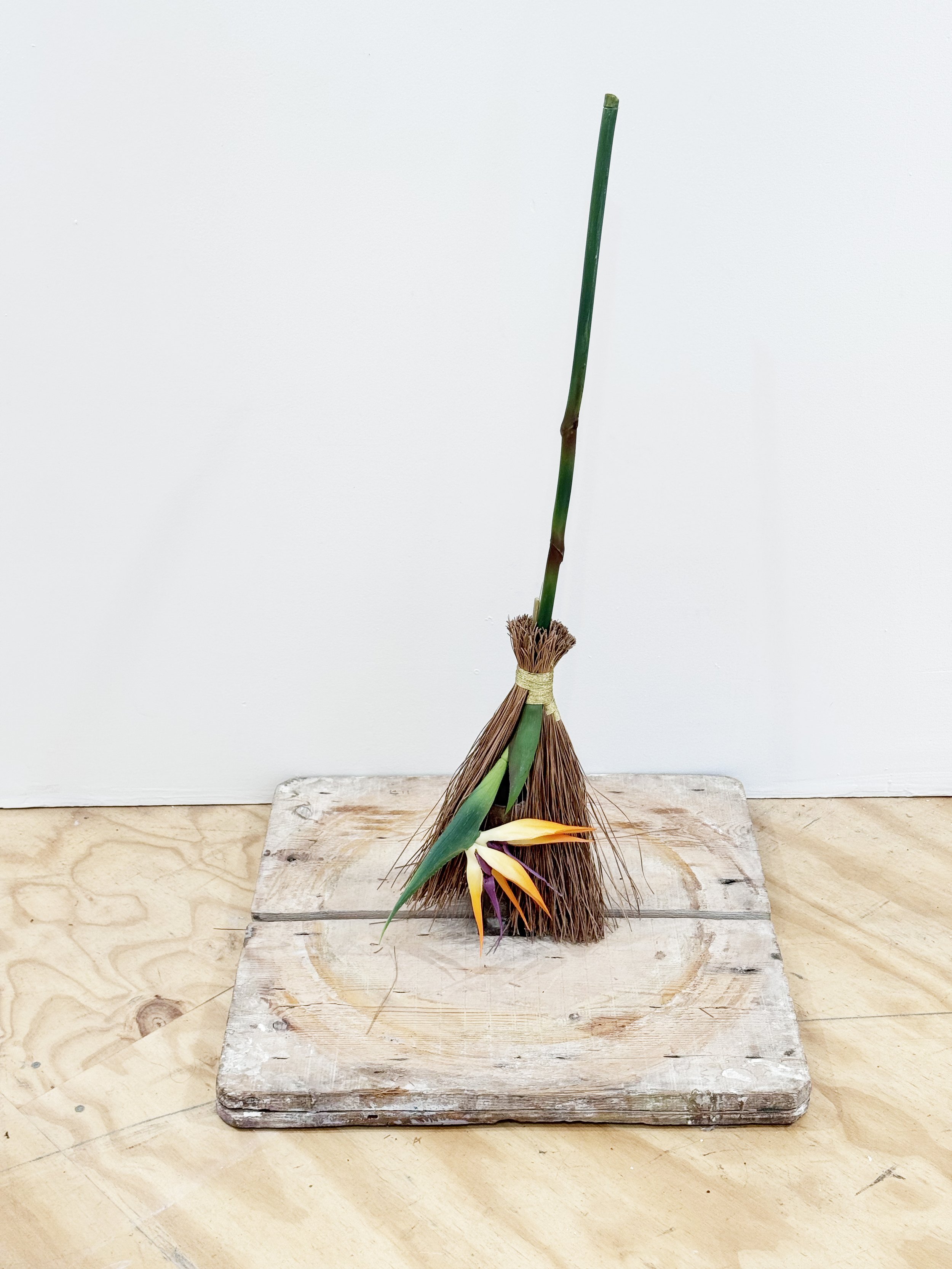 Broom.jpg