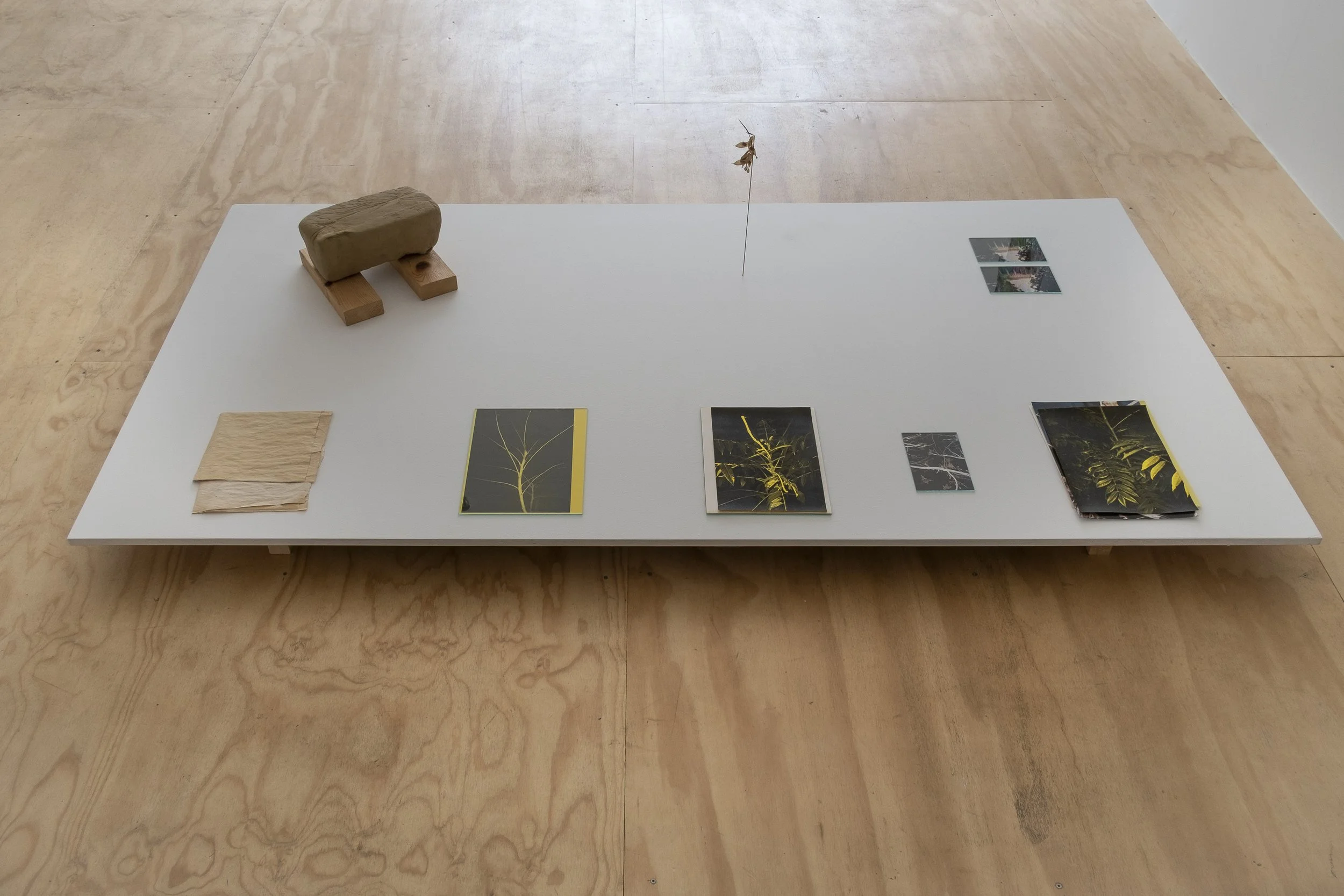 Matthew Schrader. On Movement and Air, 2023. C-Prints, laser prints, paper, ink, glass, tape, dirt, unfired clay, wood, paint, steel and Ailanthus seeds. Dimensions variable.