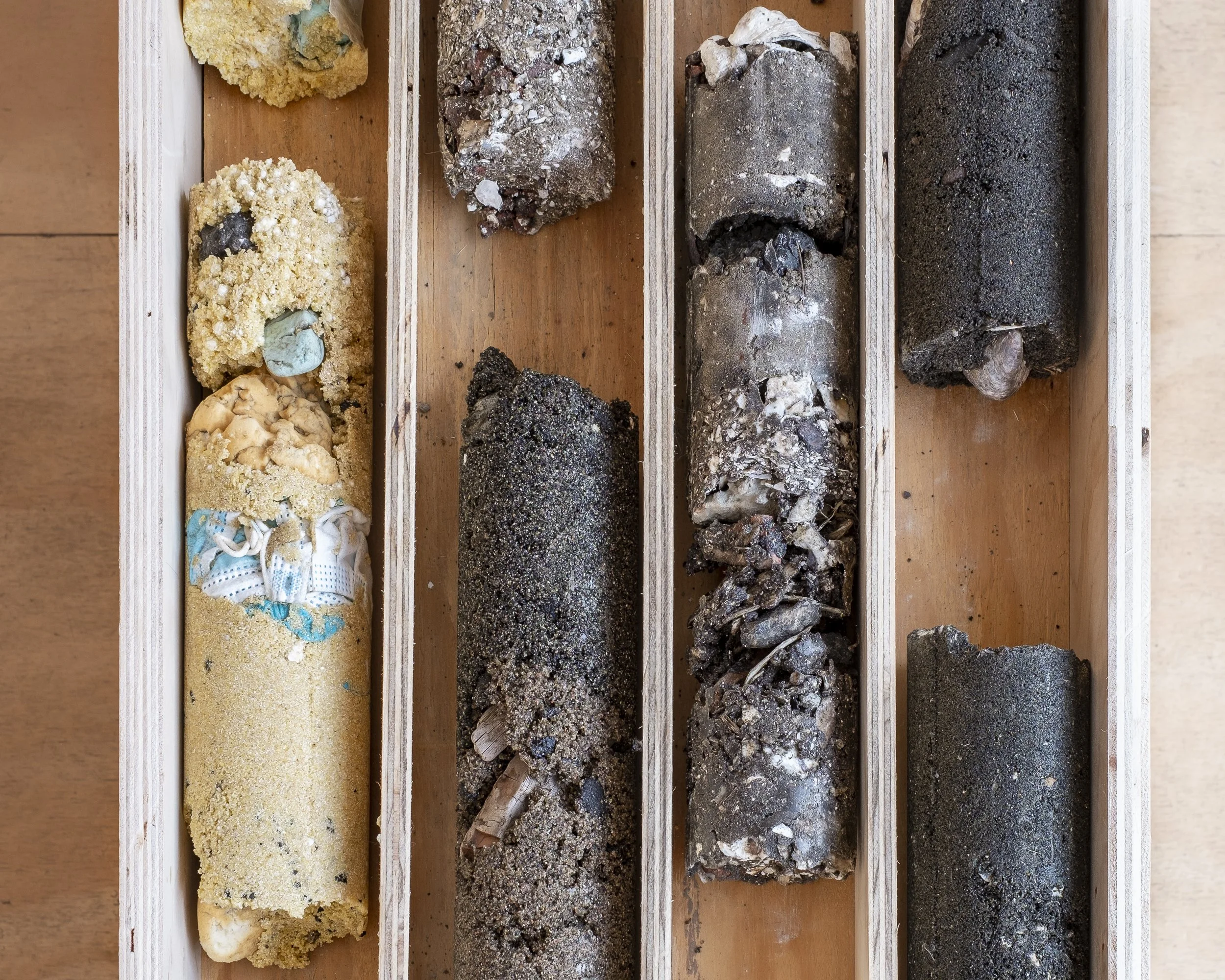 Detail. Simon Benjamin. CORE, 2021. Cornmeal, sand, beach detritus, non-toxic resin, plywood. 17 x 14 x 38 inches.