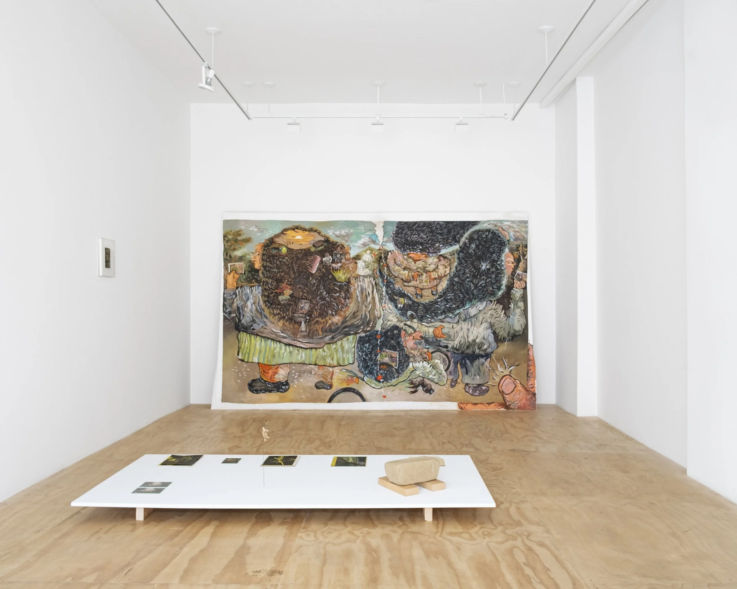 Installation view, 4.5 Billion Years, Brief Histories, 2023. 