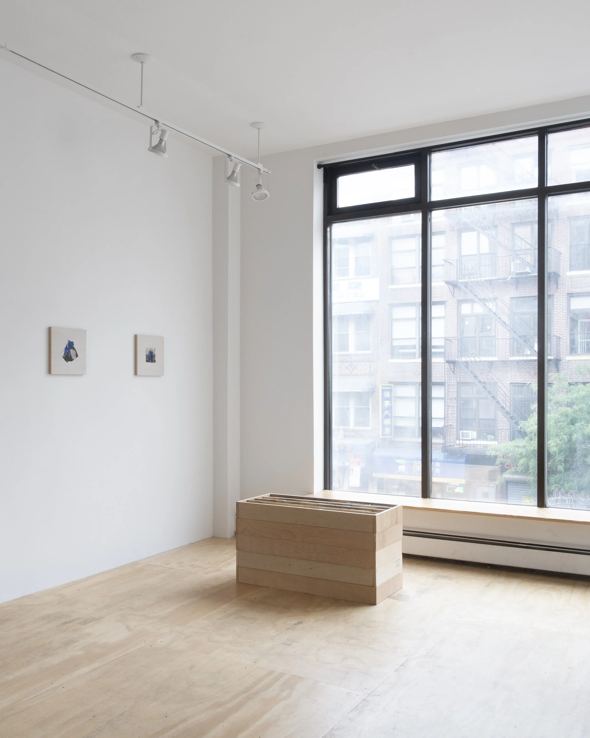 Installation view, 4.5 Billion Years, Brief Histories, 2023. 