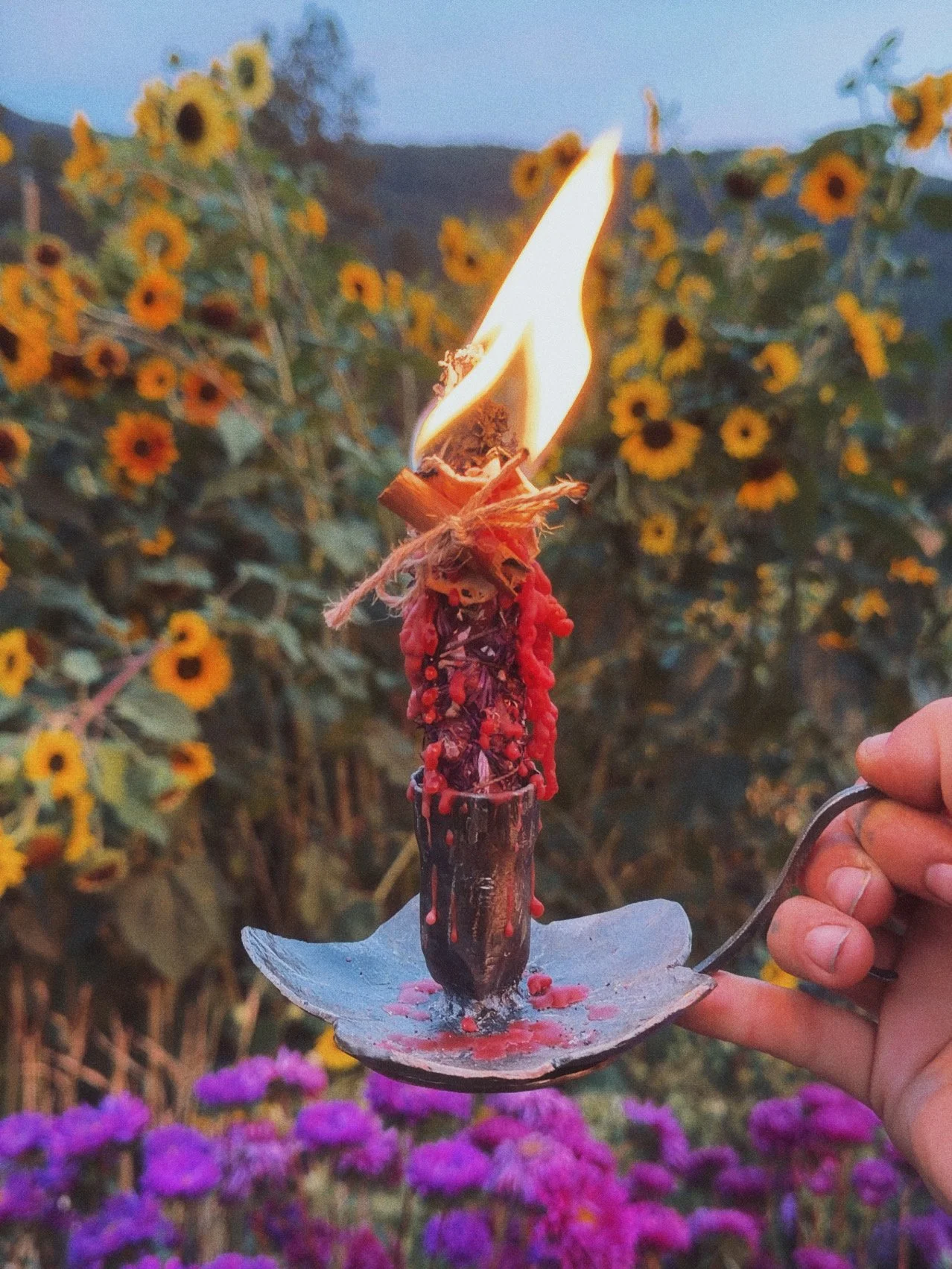The Illuminated Hearth