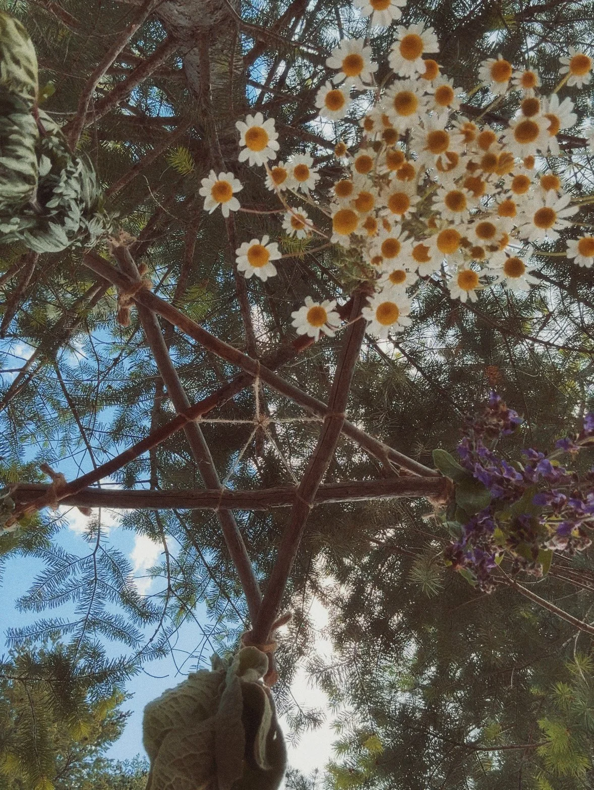 IMG_6614_Afterlight.JPG