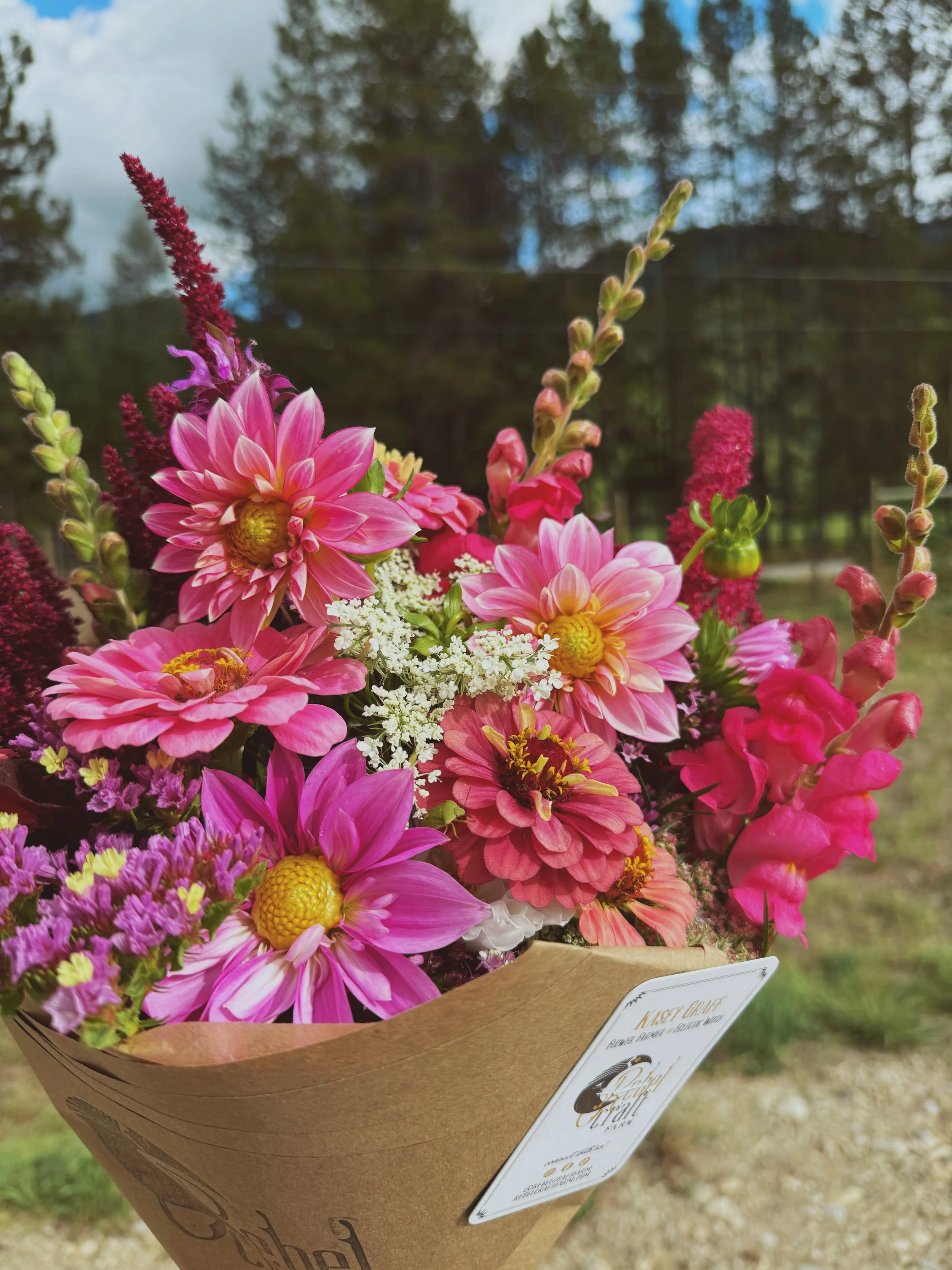 afterlight 7.jpg