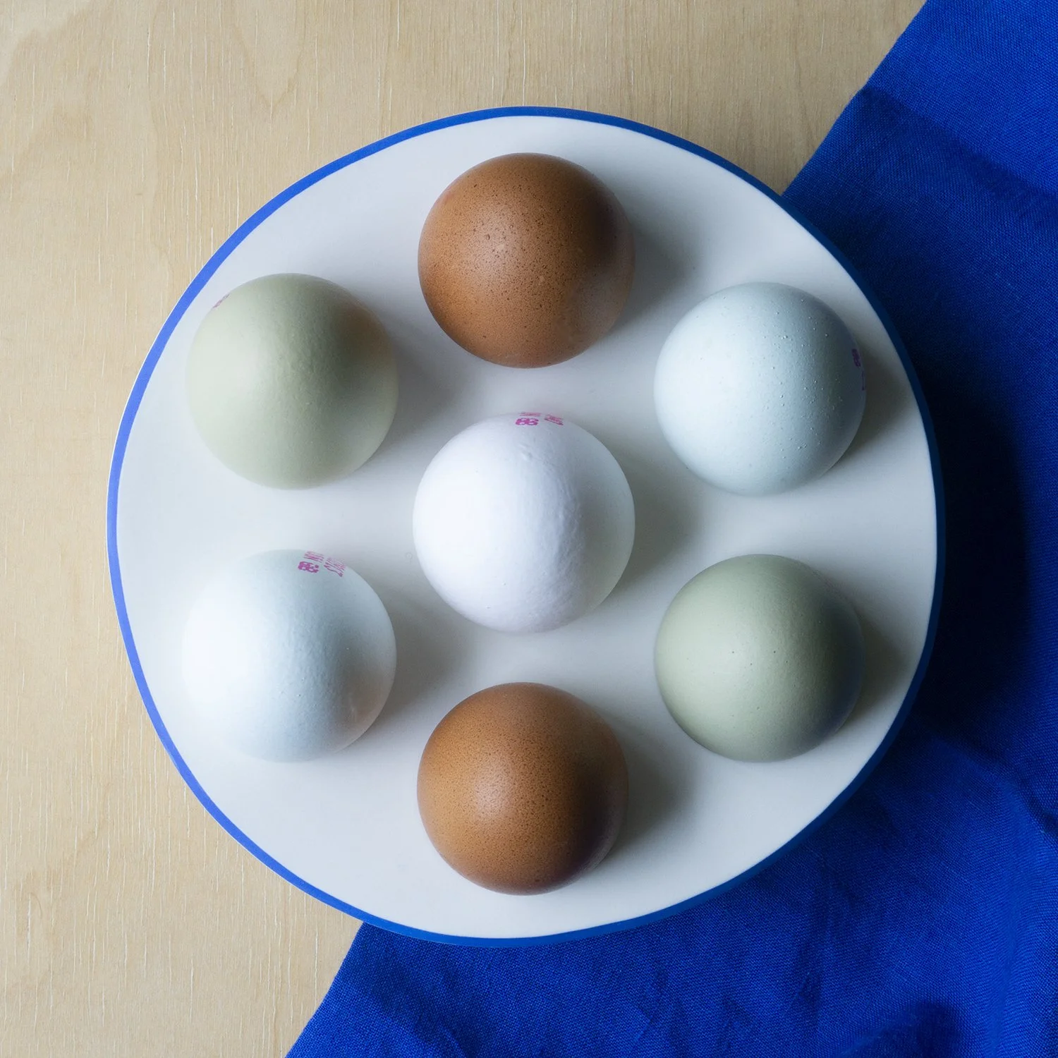 Wordplay Clay - Egg Holder Large (2).jpg
