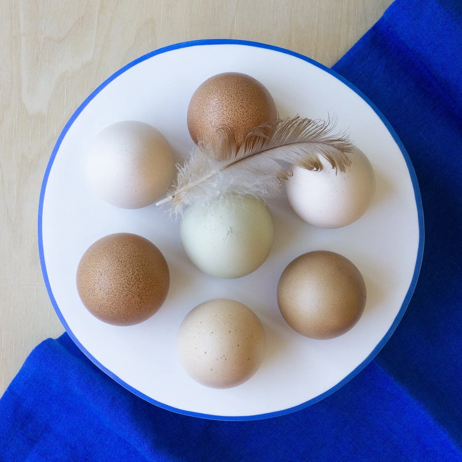 Wordplay Clay - Egg Holder Small (2).jpg