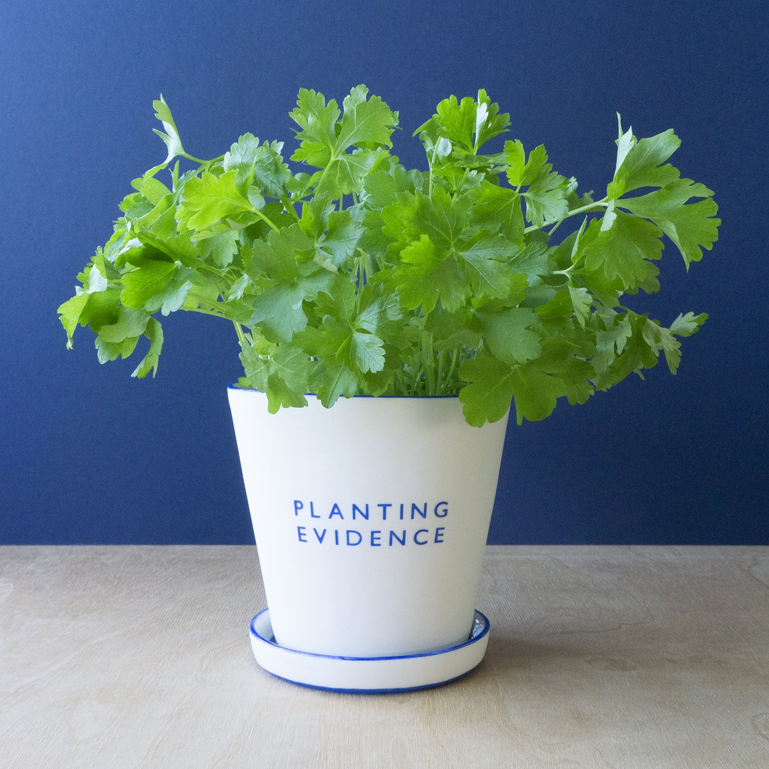 Wordplay Clay - Planting Evidence Blue (5).jpg