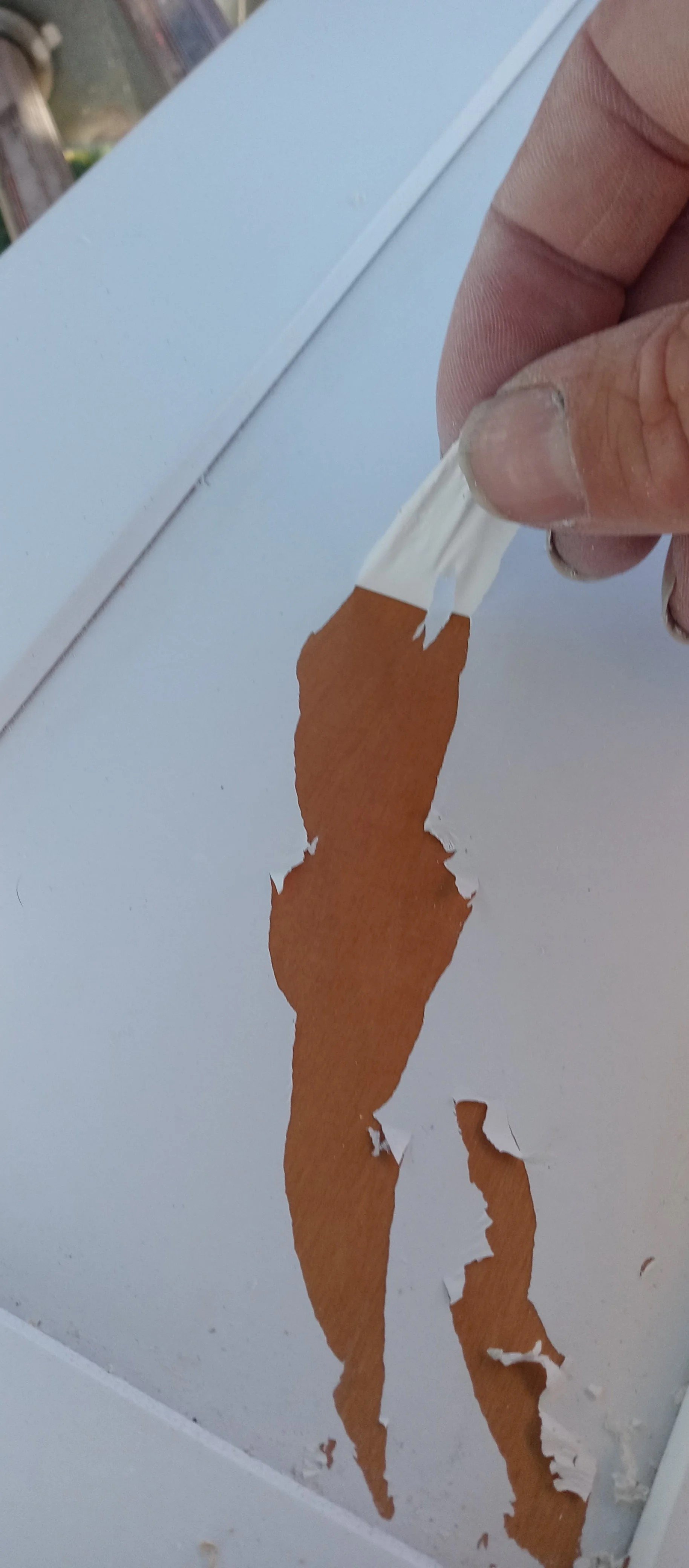 To Paint or To Replace?