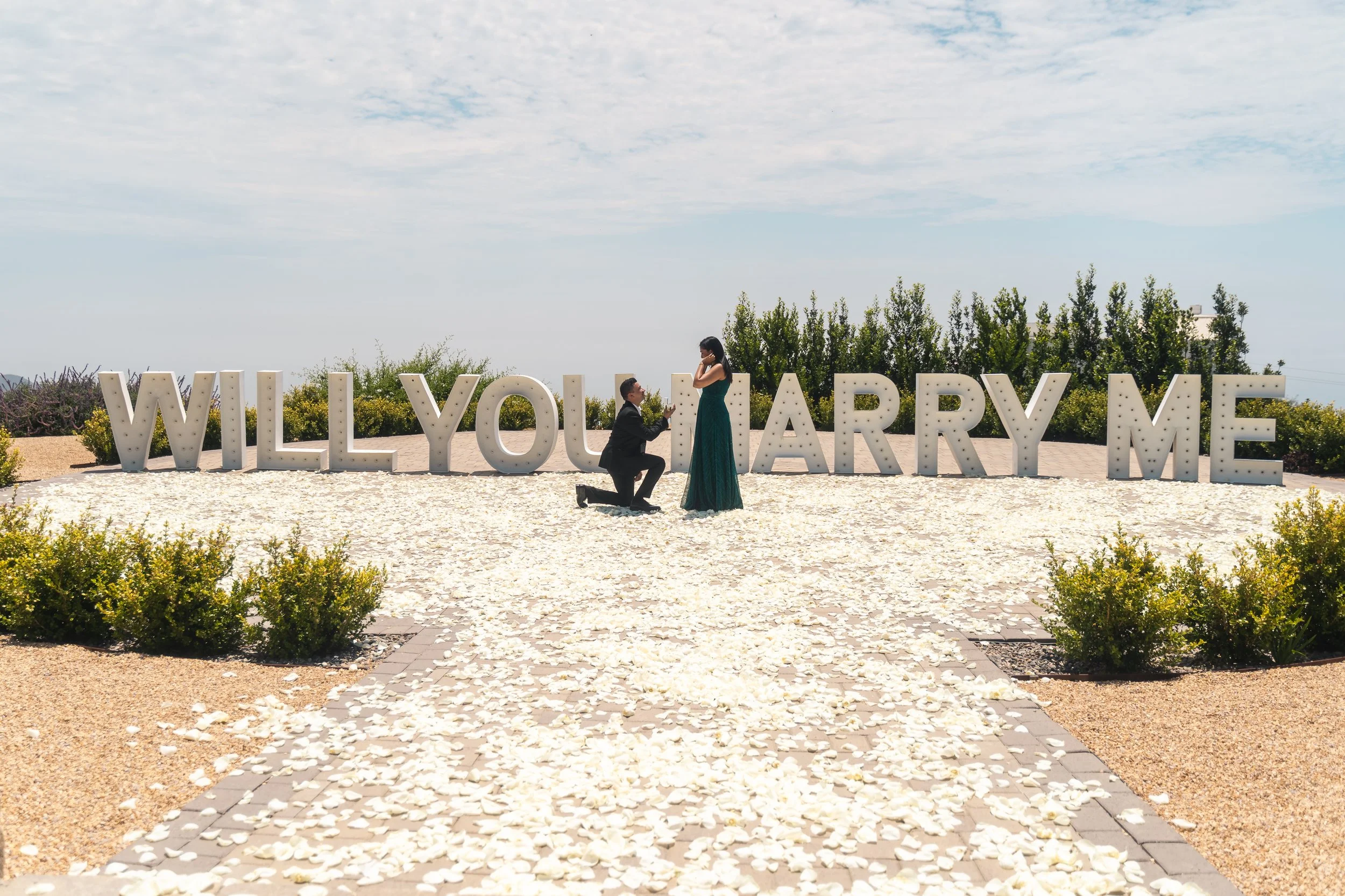 Proposal July 29 2023-19.JPEG