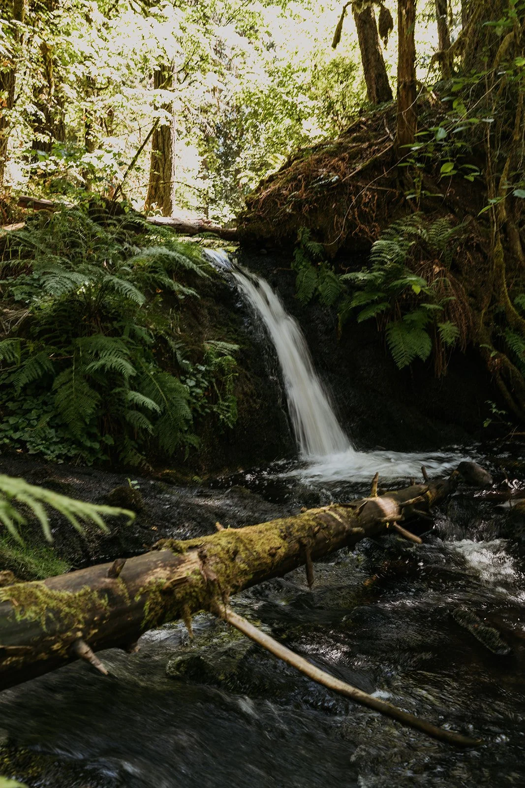 Day Of Mindfulness: A Pause In Nature