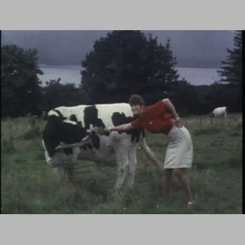 Vivienne Dick-Visibility Moderate-1.jpg